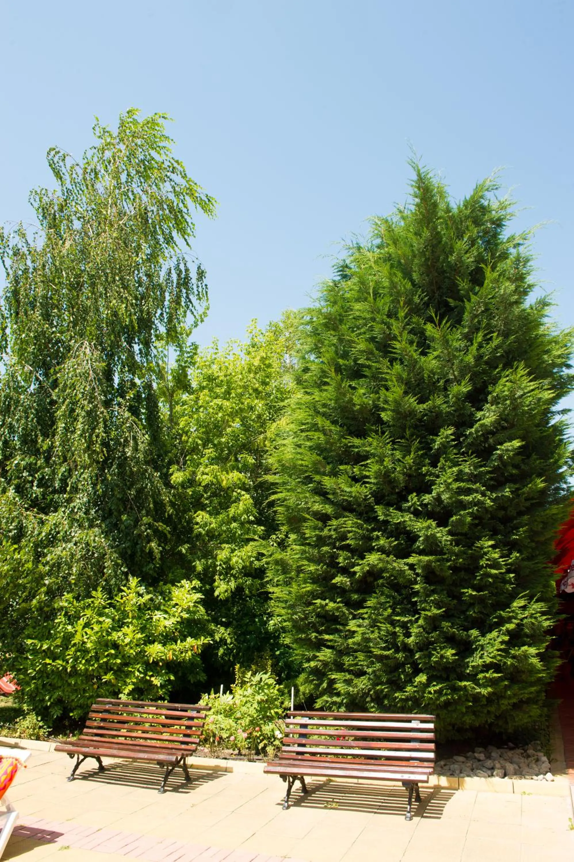 Garden in Ivana Palace Hotel - Free Parking