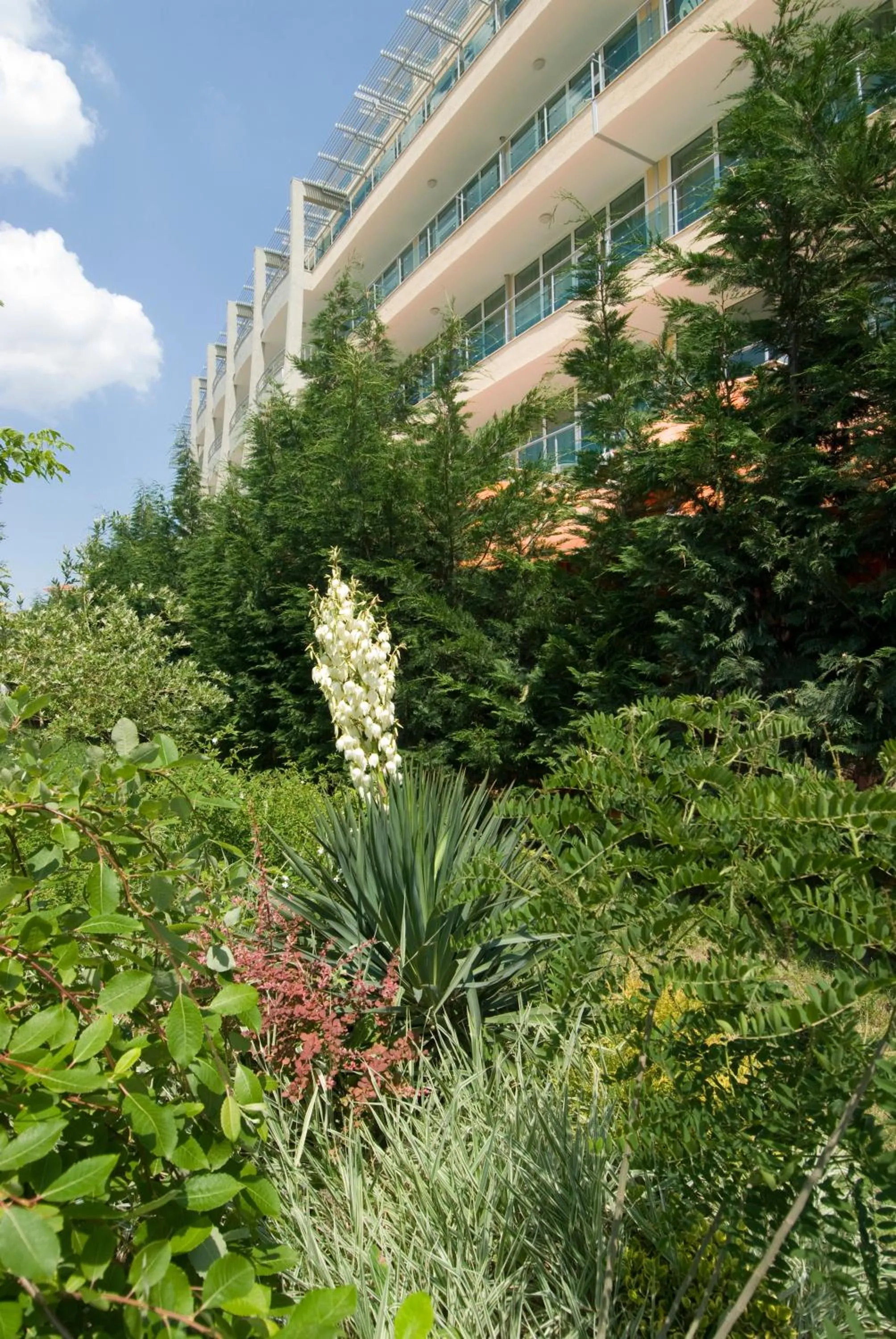 Garden in Ivana Palace Hotel - Free Parking