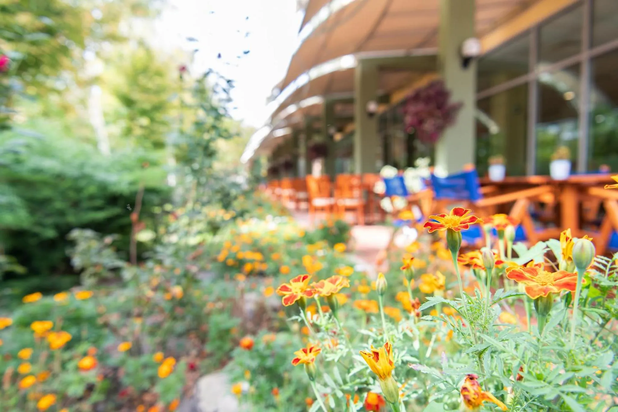 Restaurant/places to eat in Ivana Palace Hotel - Free Parking