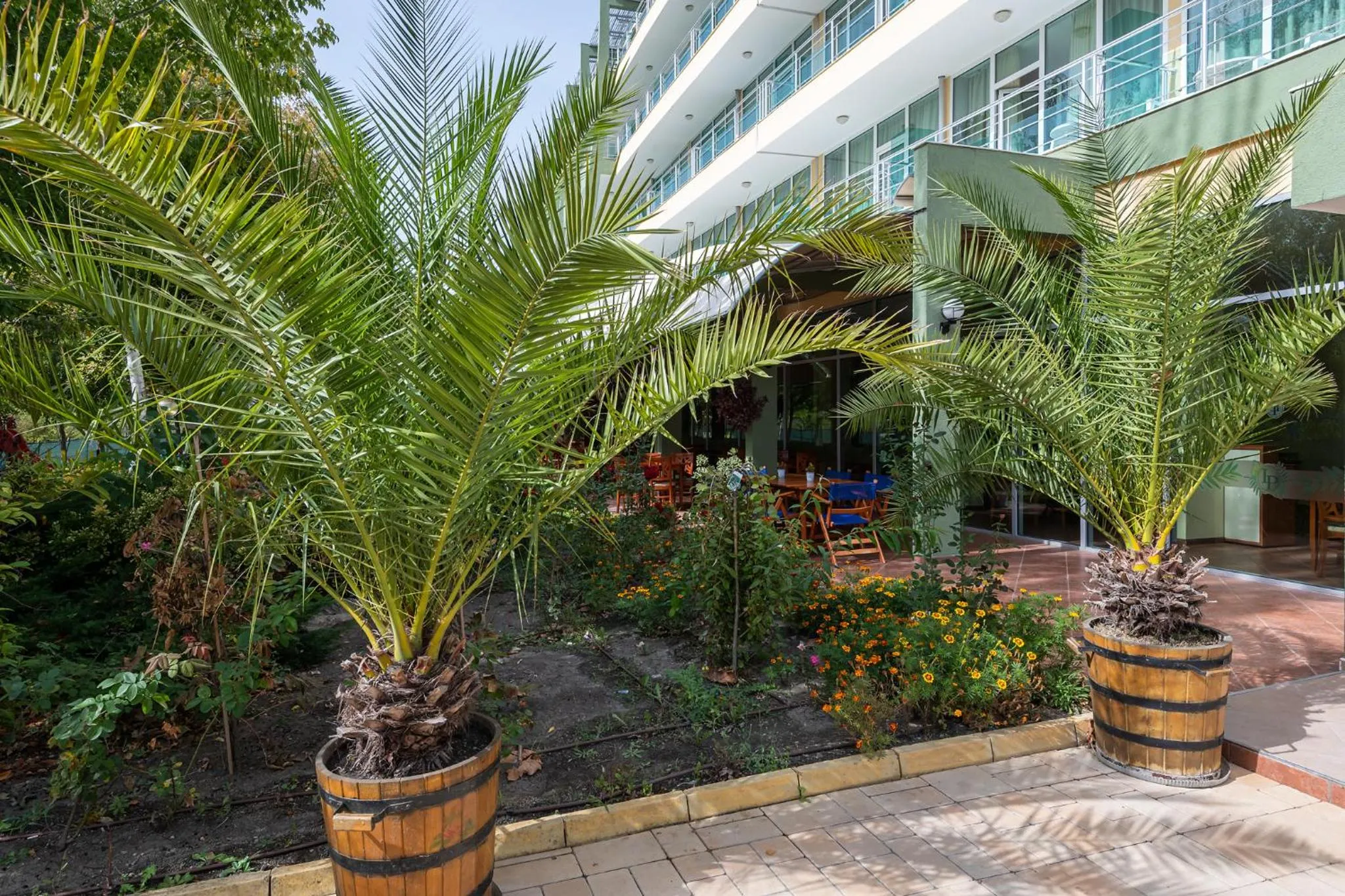 Ivana Palace Hotel - Free Parking