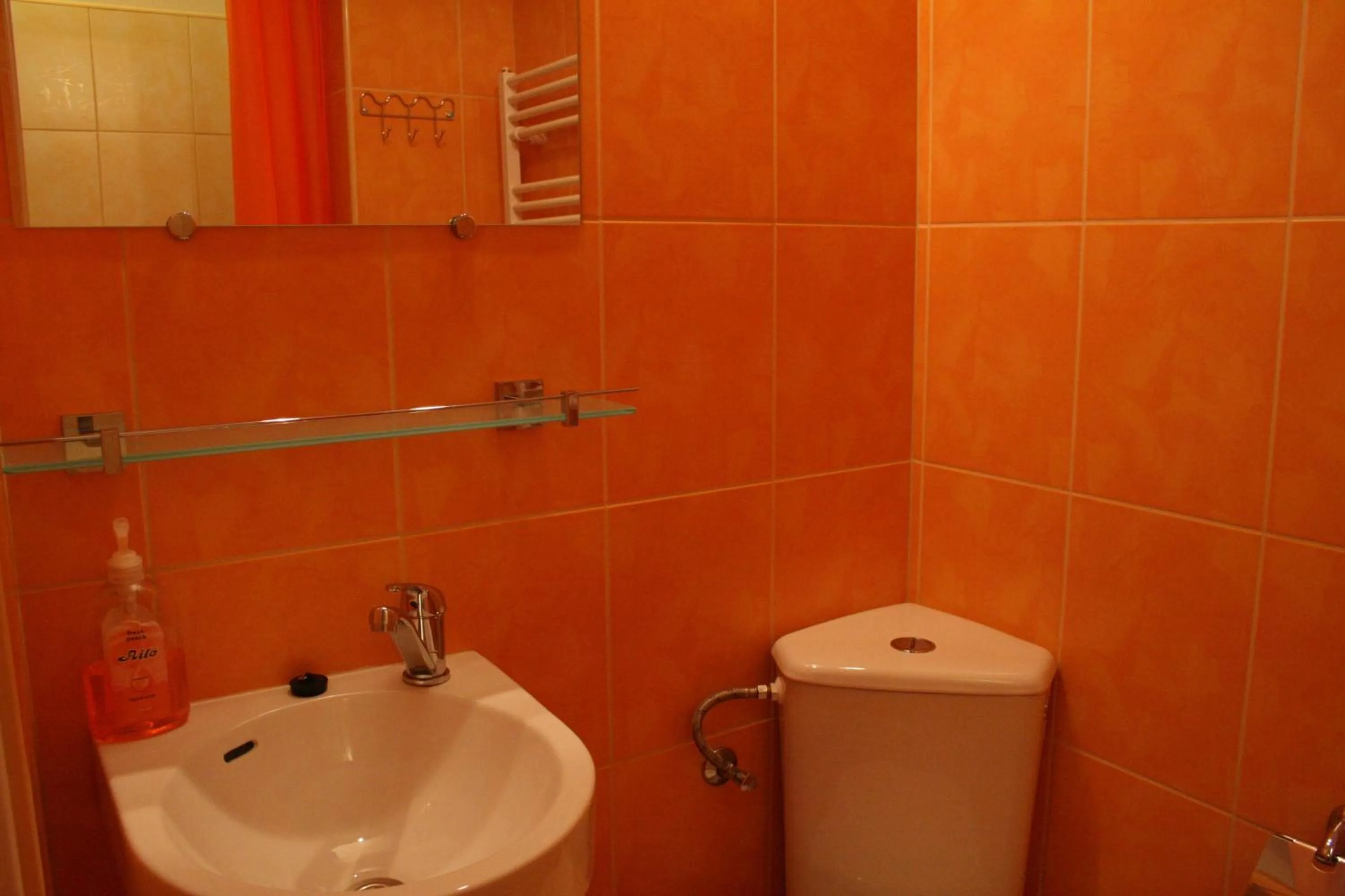 Bathroom in Hotel Na Vodách