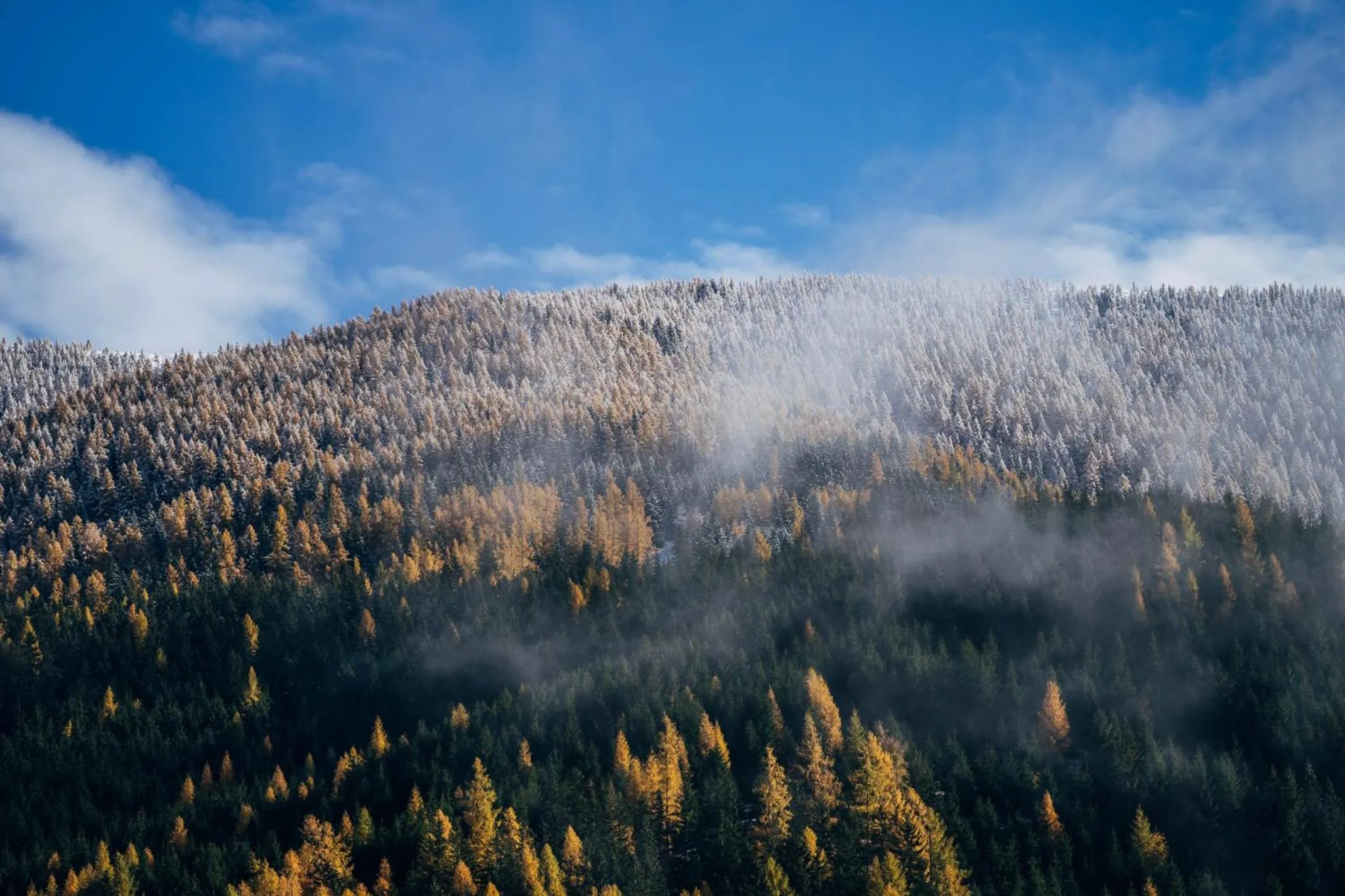 Natural landscape in Slow Travel Resort Kirchleitn - OBERKIRCHLEITN
