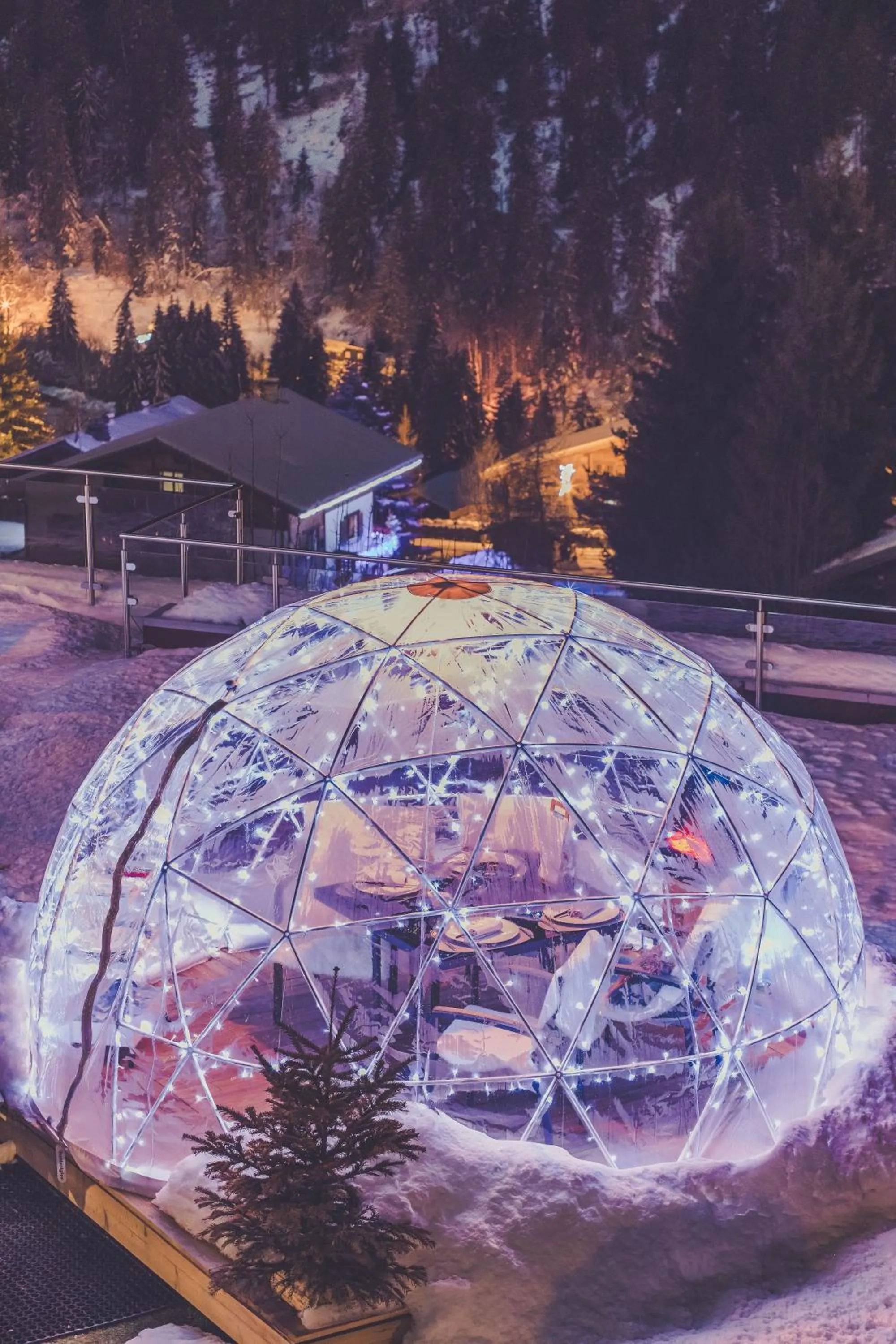 Fleur De Neige Châtel