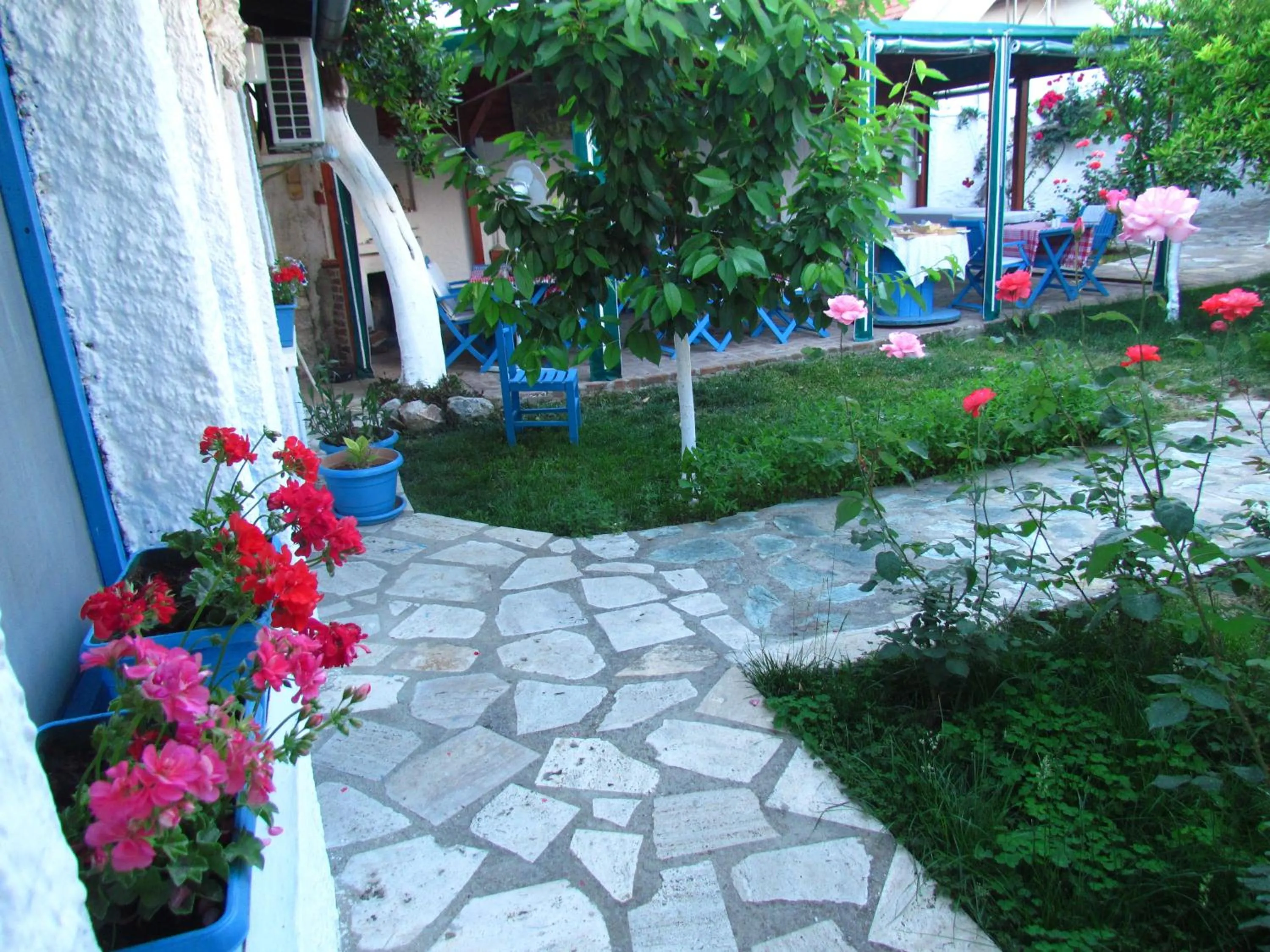 Property building in Amazon Antique