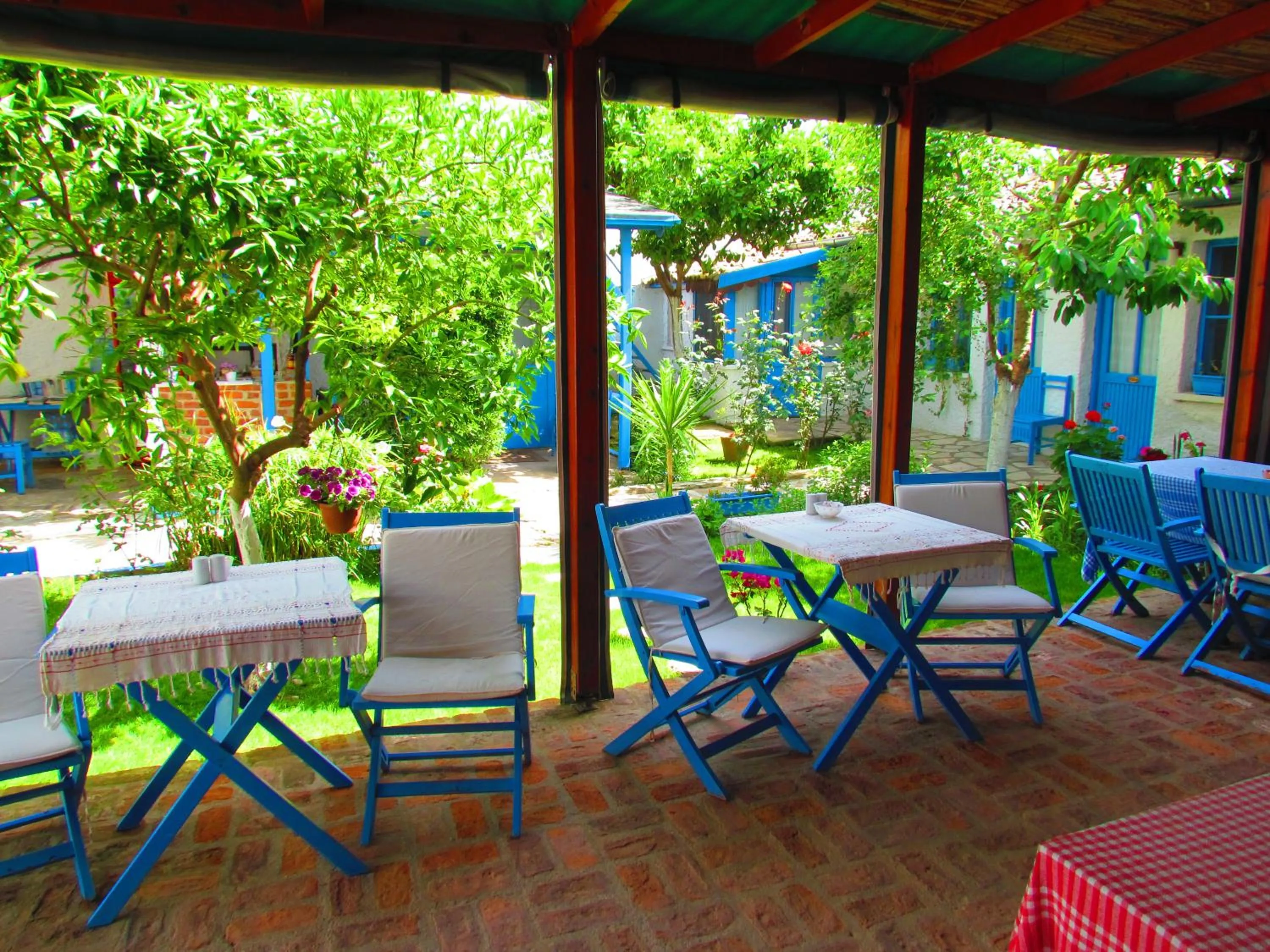 Patio in Amazon Antique