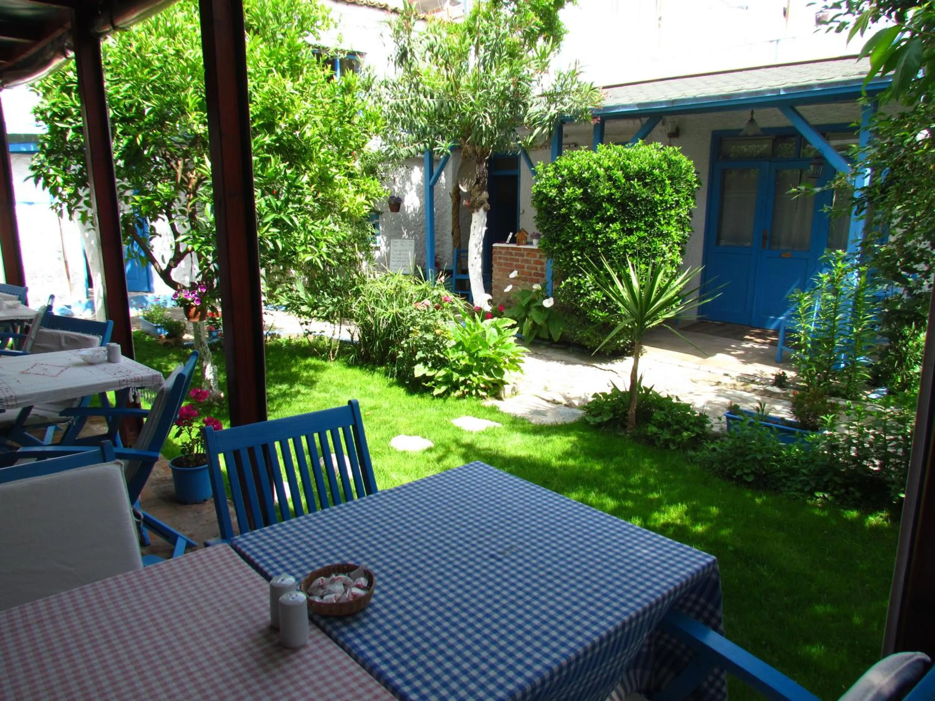 Property building in Amazon Antique