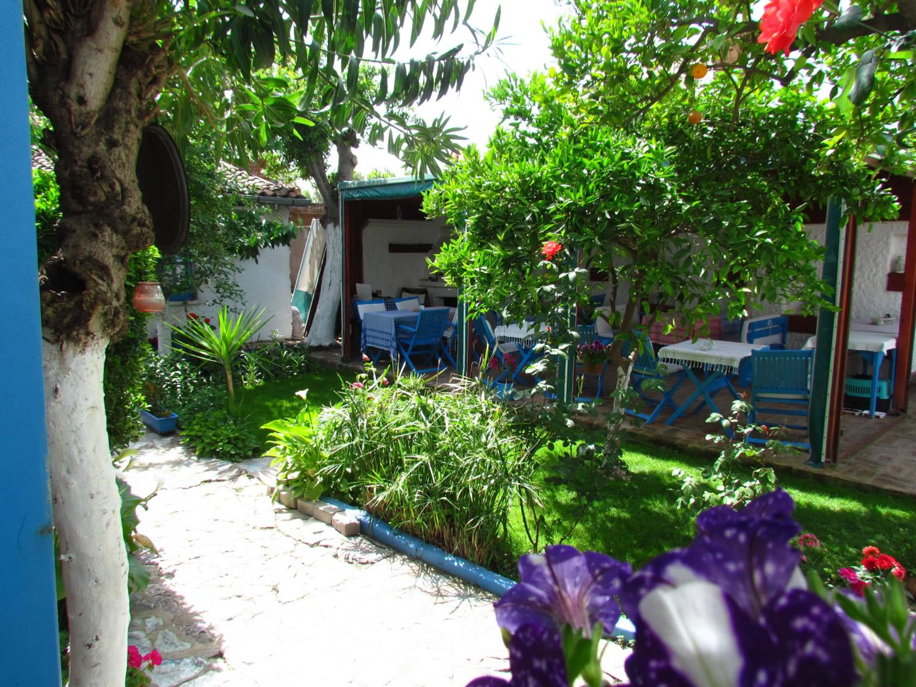 Property building in Amazon Antique