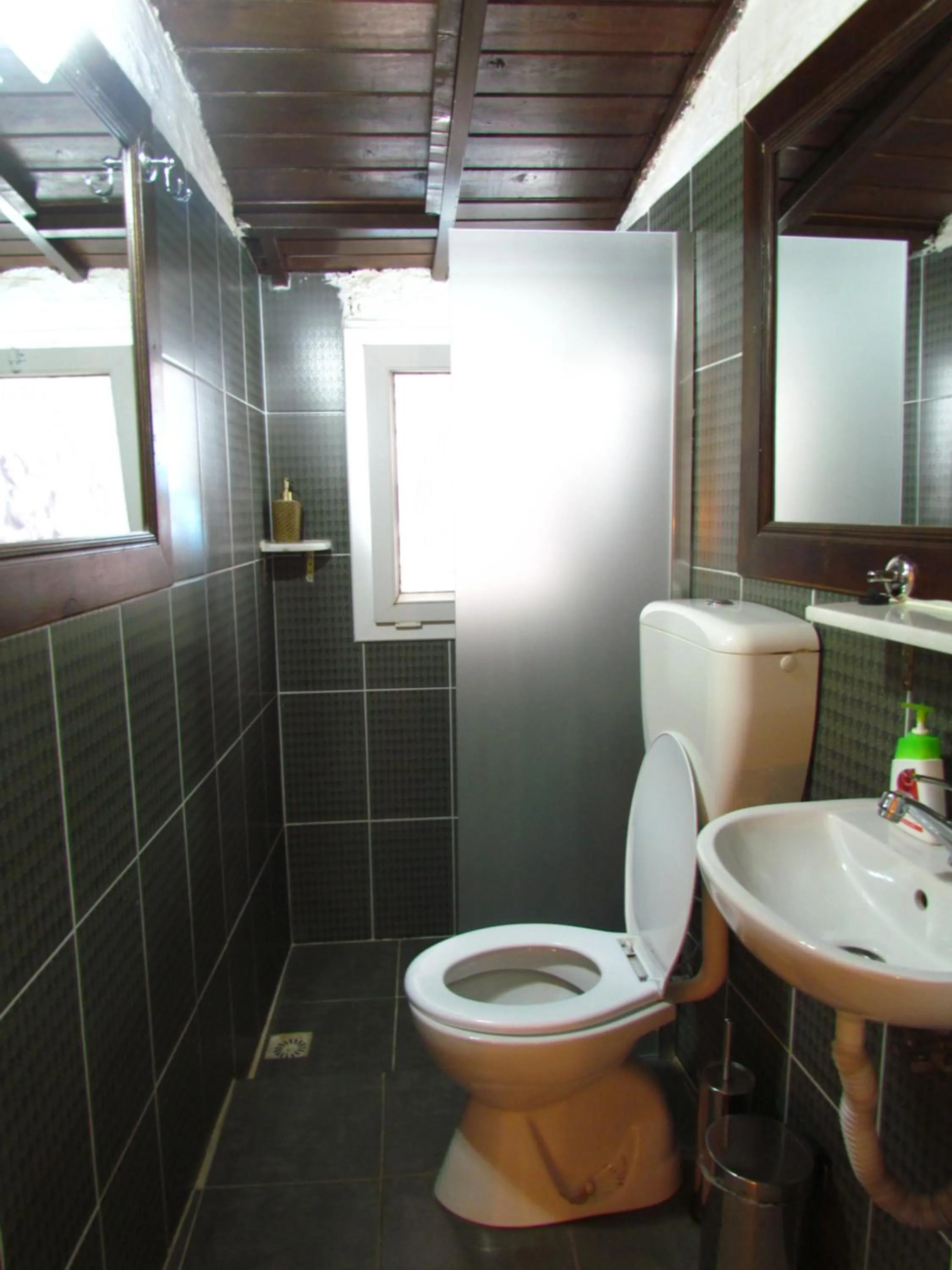 Bathroom in Amazon Antique