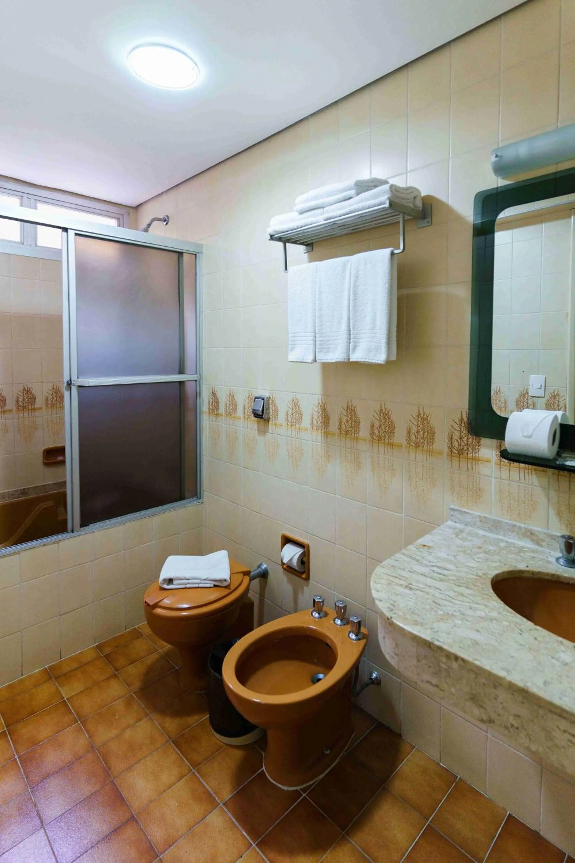 Suite in Hotel Pan Americano