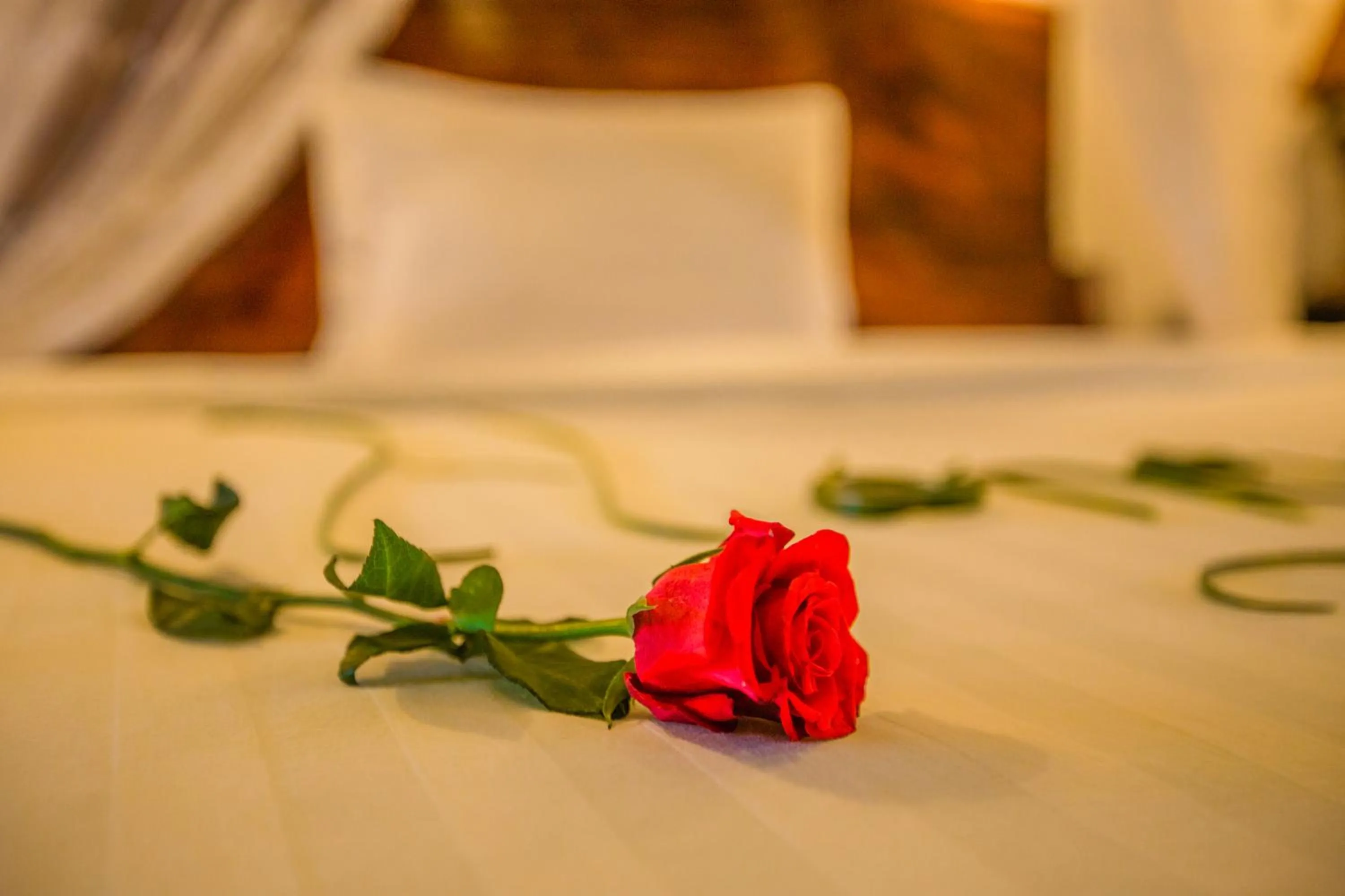 Other, Bed in Moloppor Villa