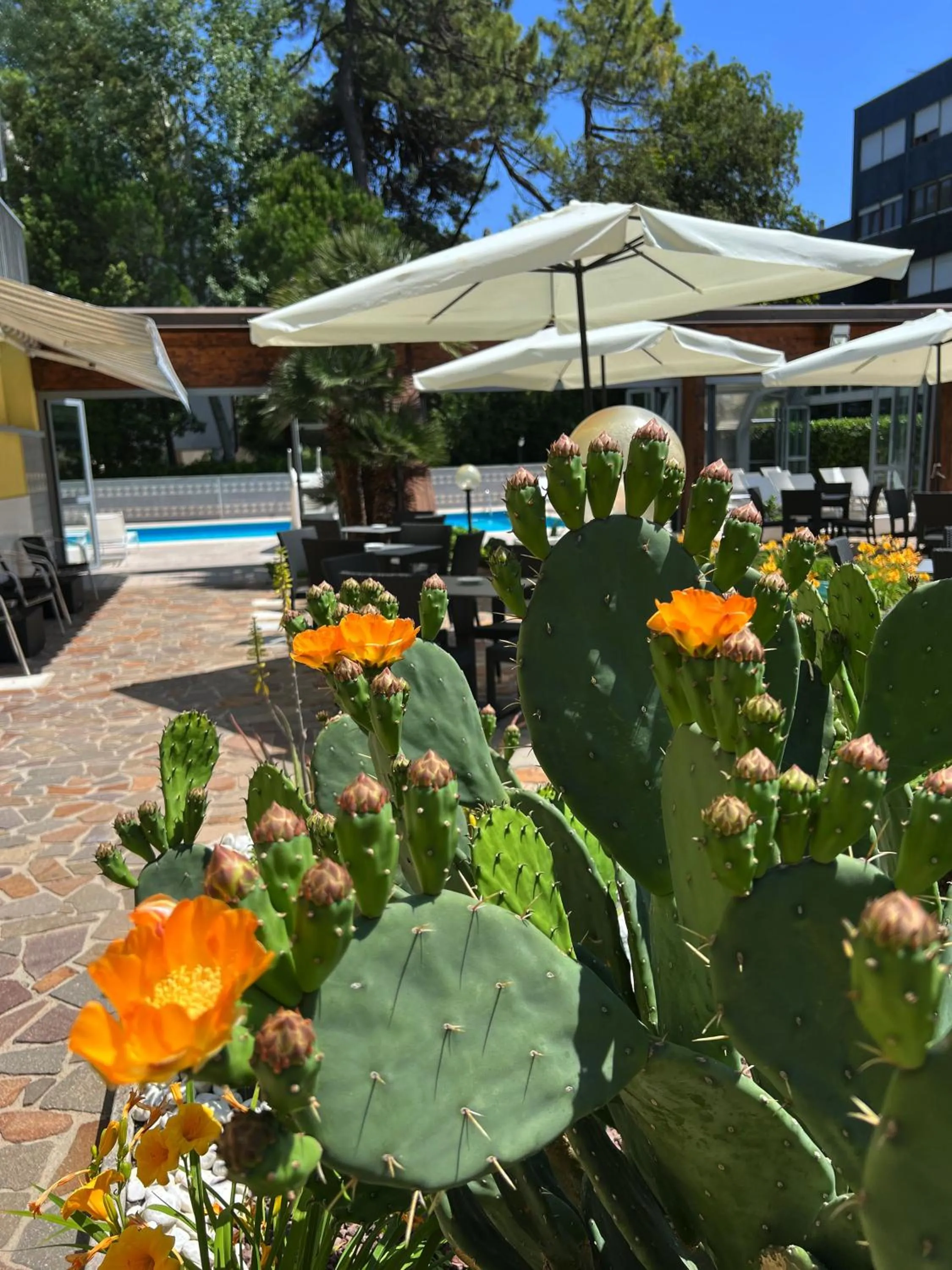 Property building in Hotel Ai Pini