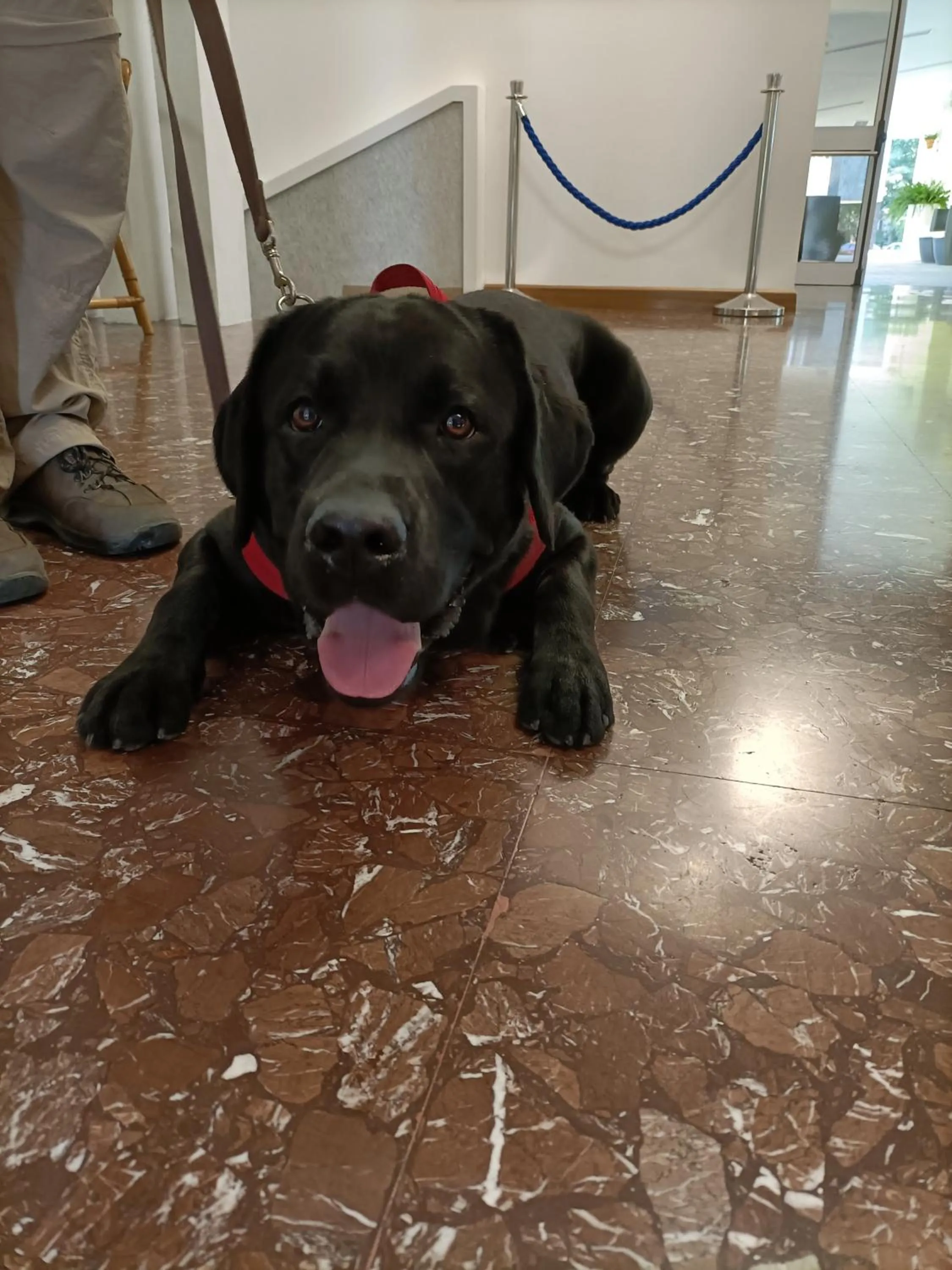 Guests in Hotel Ai Pini