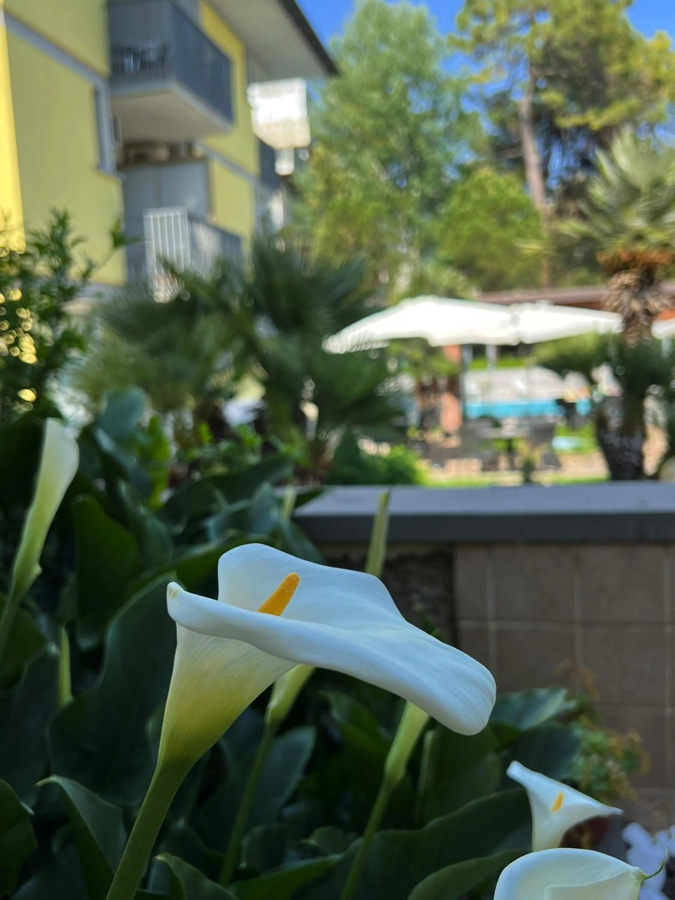 Property building in Hotel Ai Pini