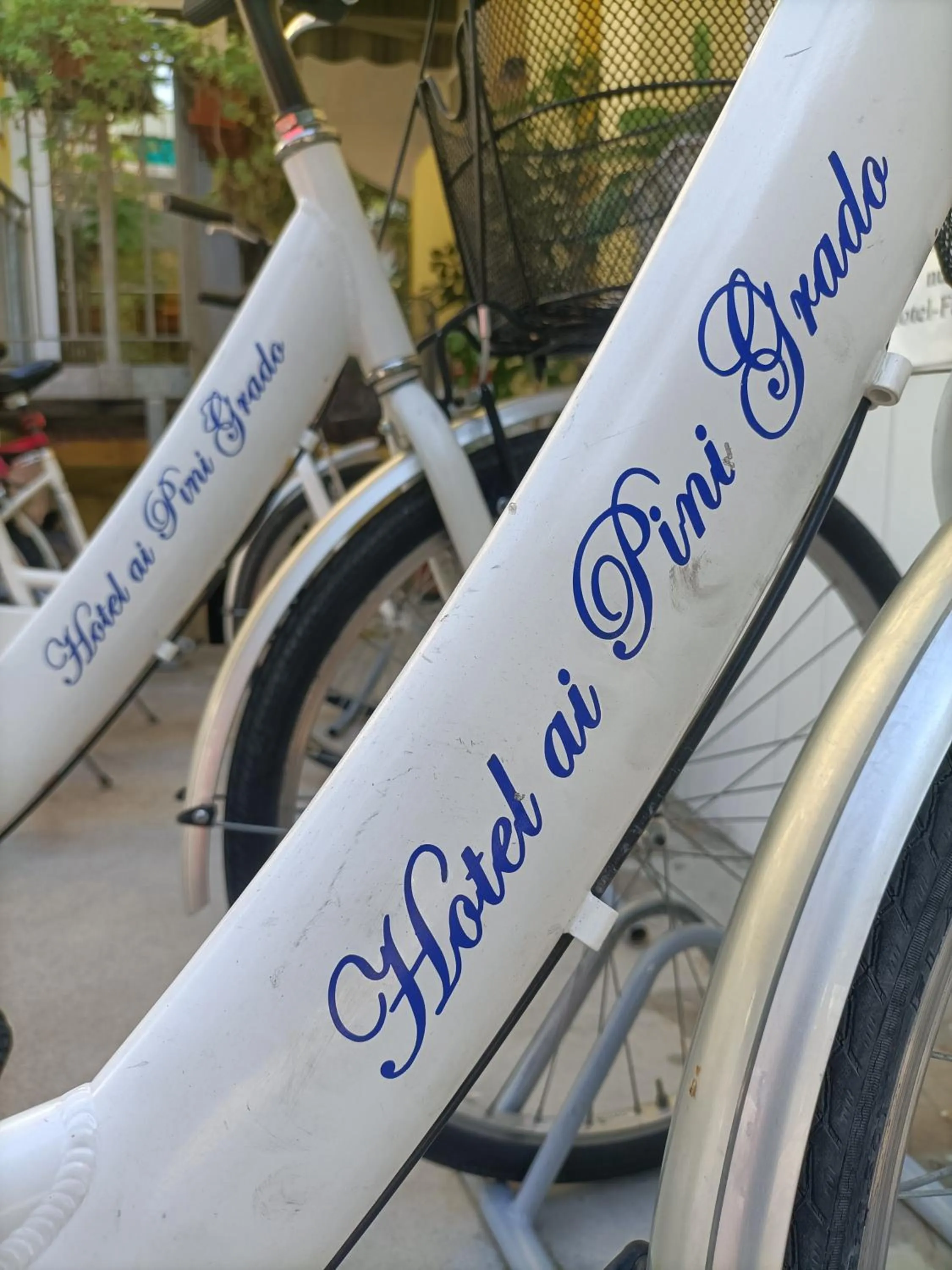 Cycling in Hotel Ai Pini