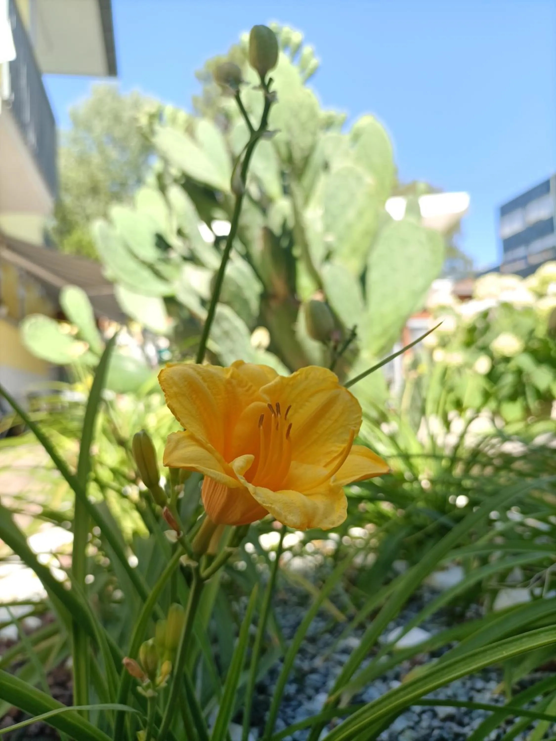 Property building in Hotel Ai Pini