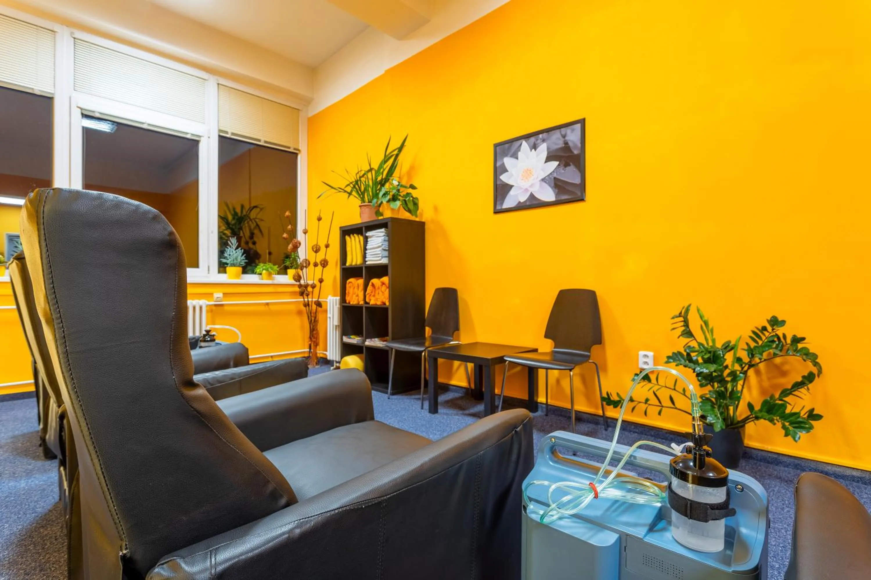 Spa and wellness centre/facilities in Hotel Běhounek