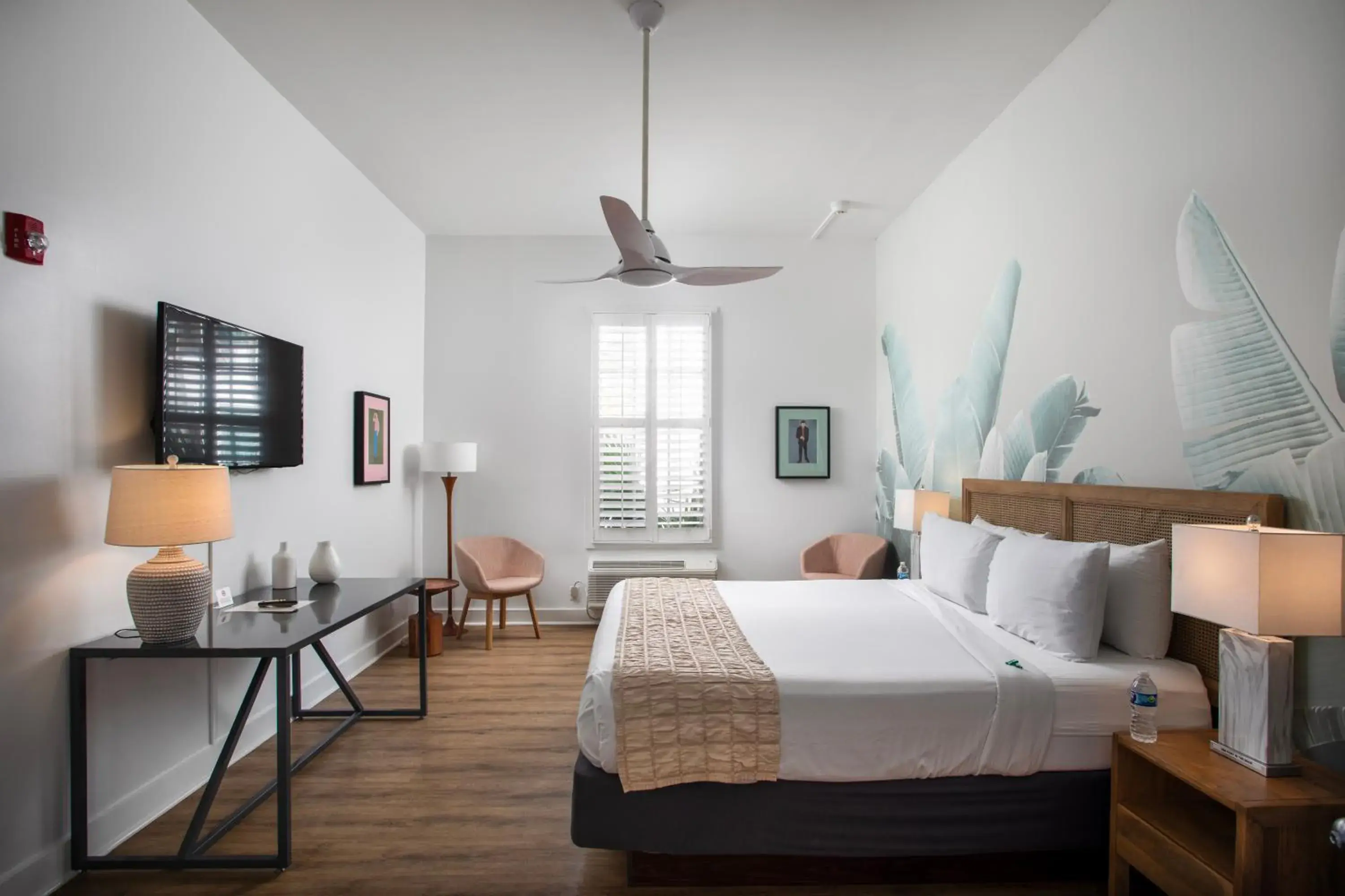 Junior King Suite - Accessible in Paradise Inn - Adult Exclusive Junior King Suite - Accessible in Paradise Inn - Adult Exclusive