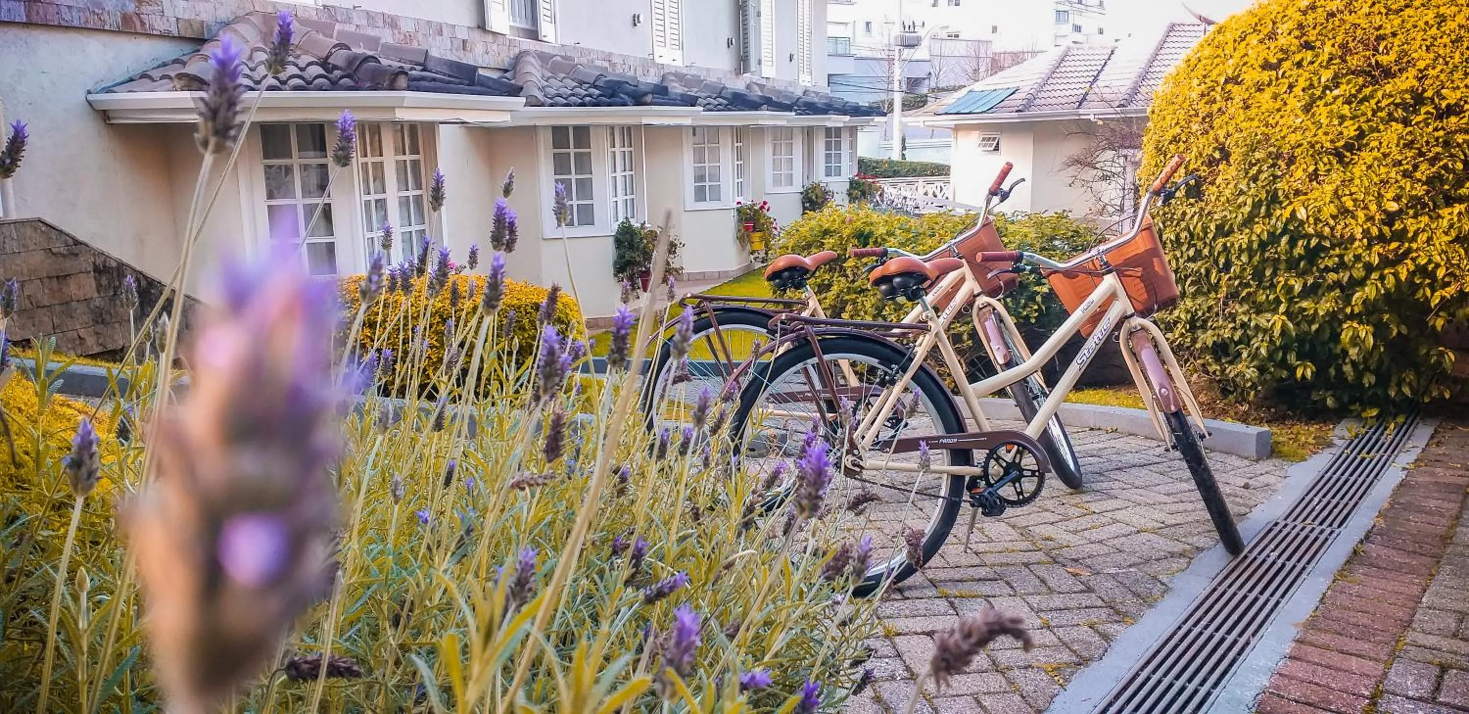 Property building in Pousada Nacional Inn Campos do Jordão