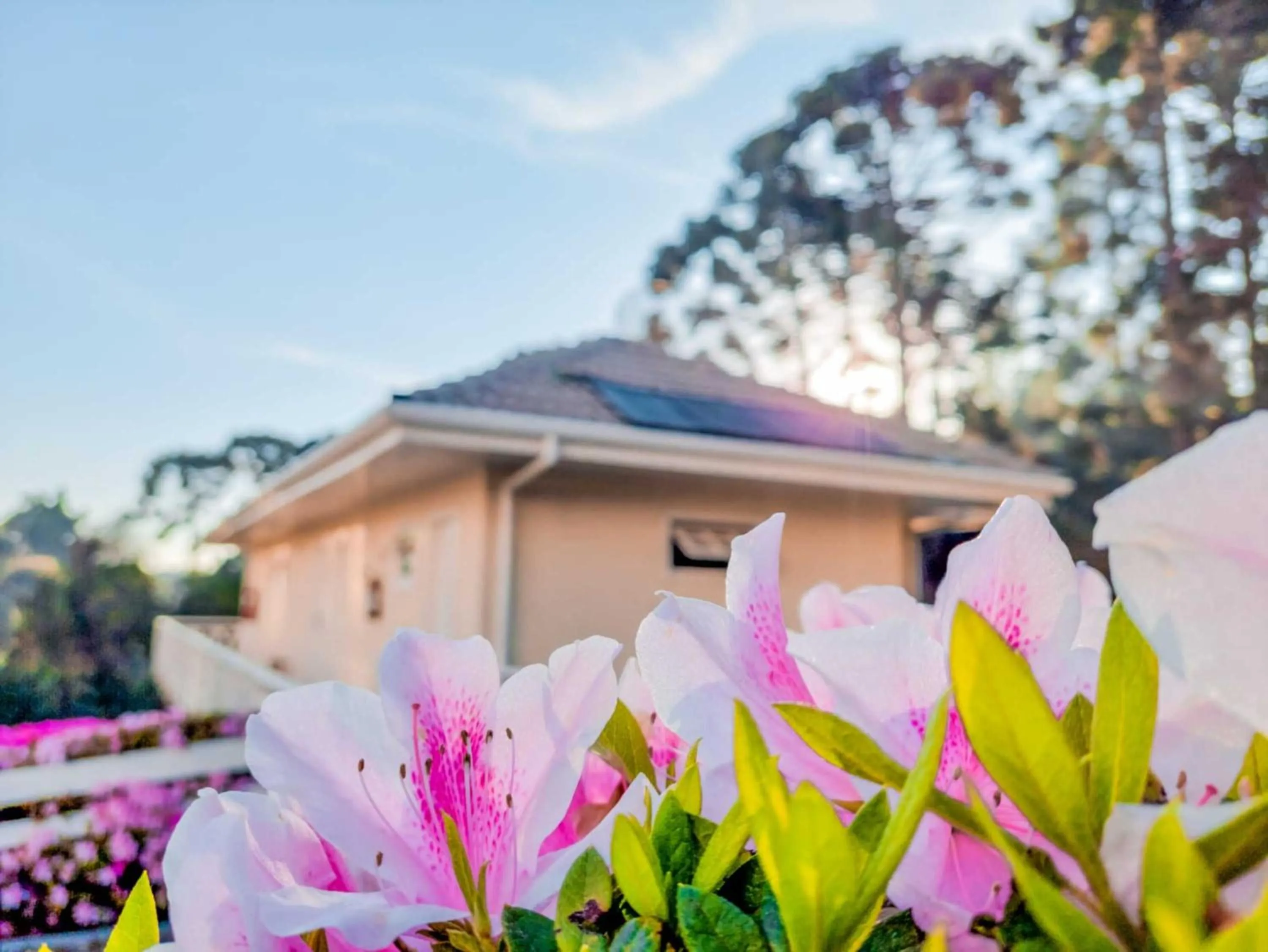 Property building in Pousada Nacional Inn Campos do Jordão