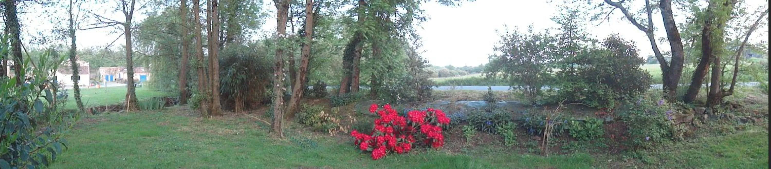 Garden in La petite Vallee