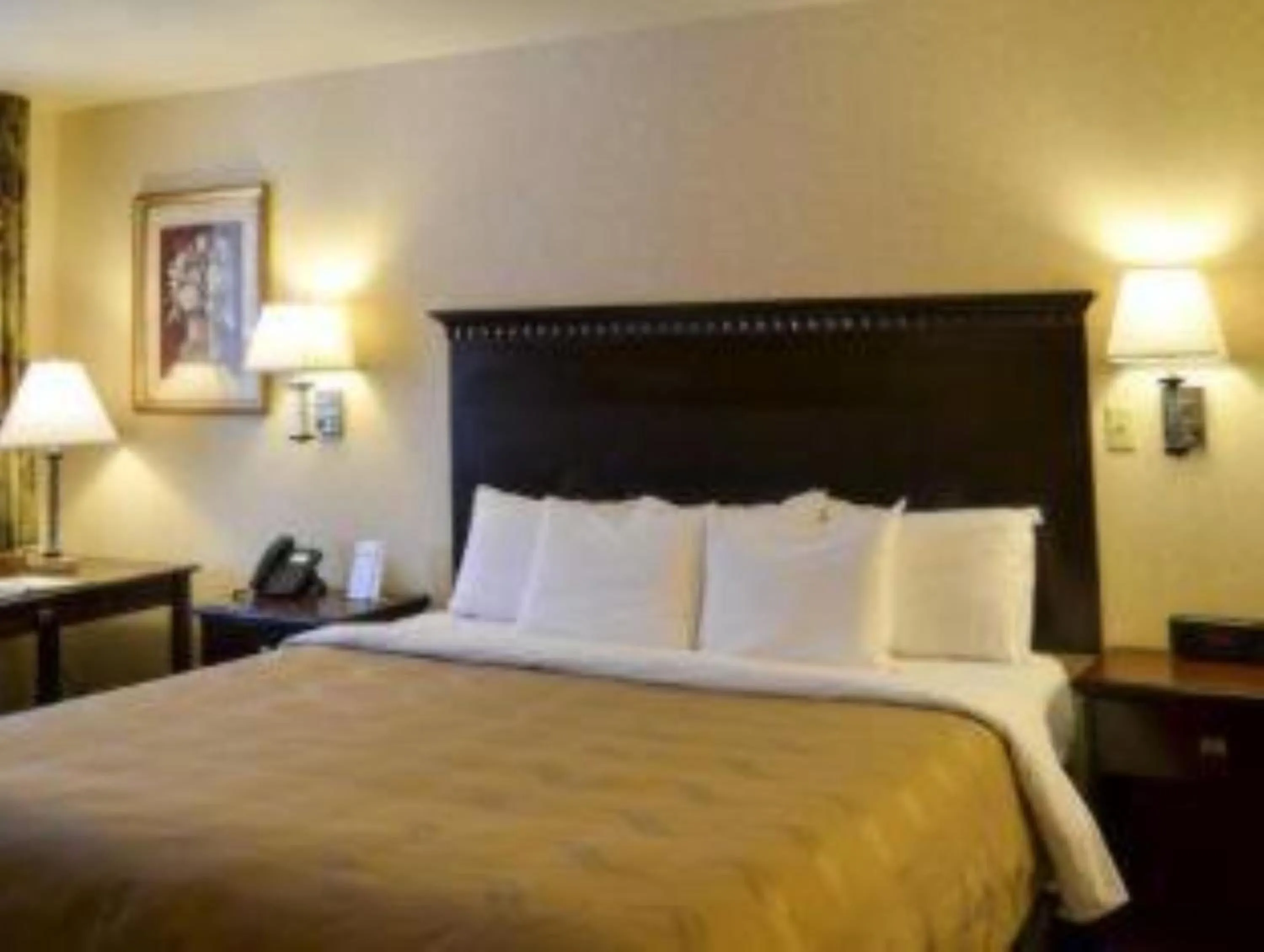 Bed in Wingate by Wyndham Gunnison Near Western Colorado University