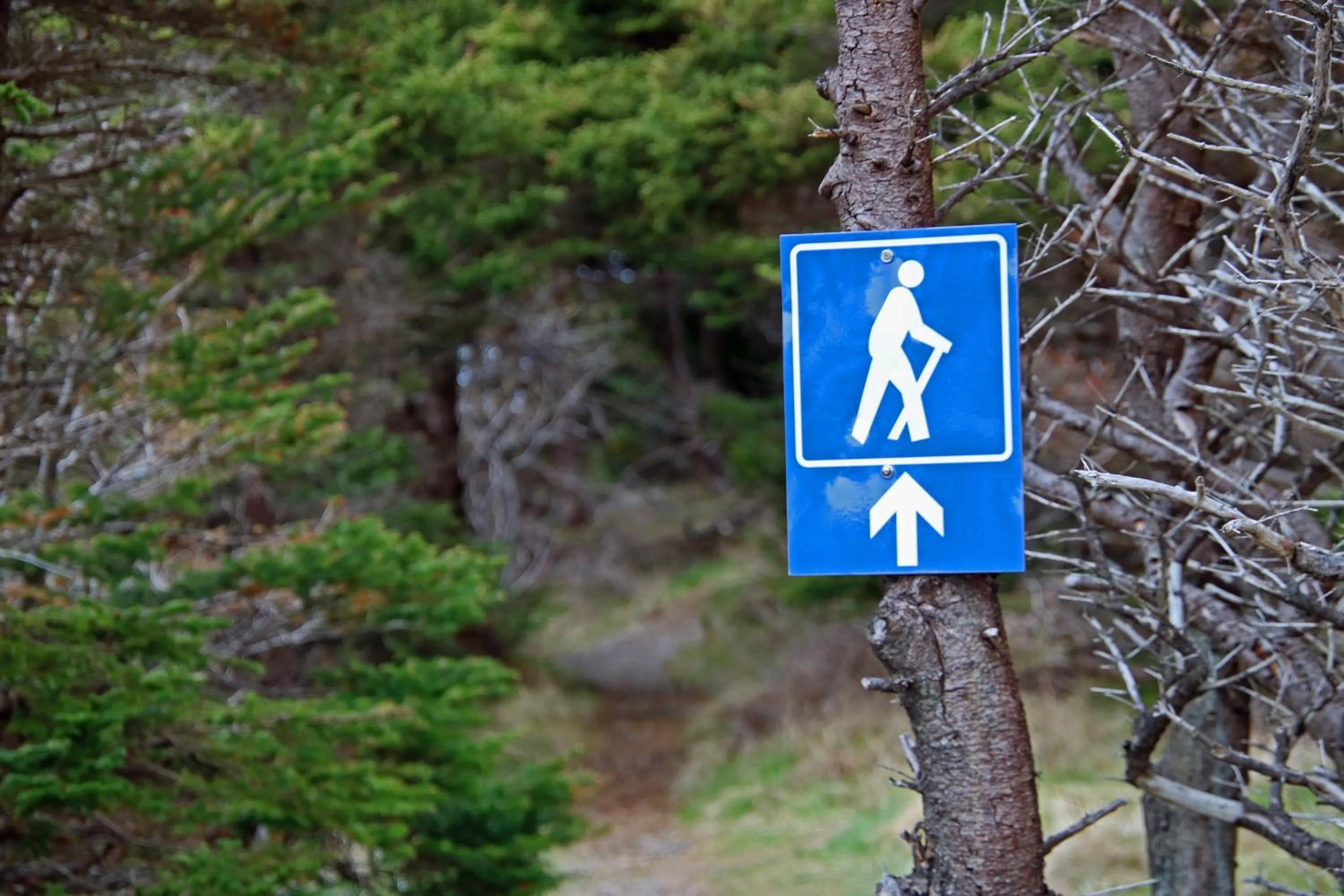 Hiking in The Killick Inn & Suites