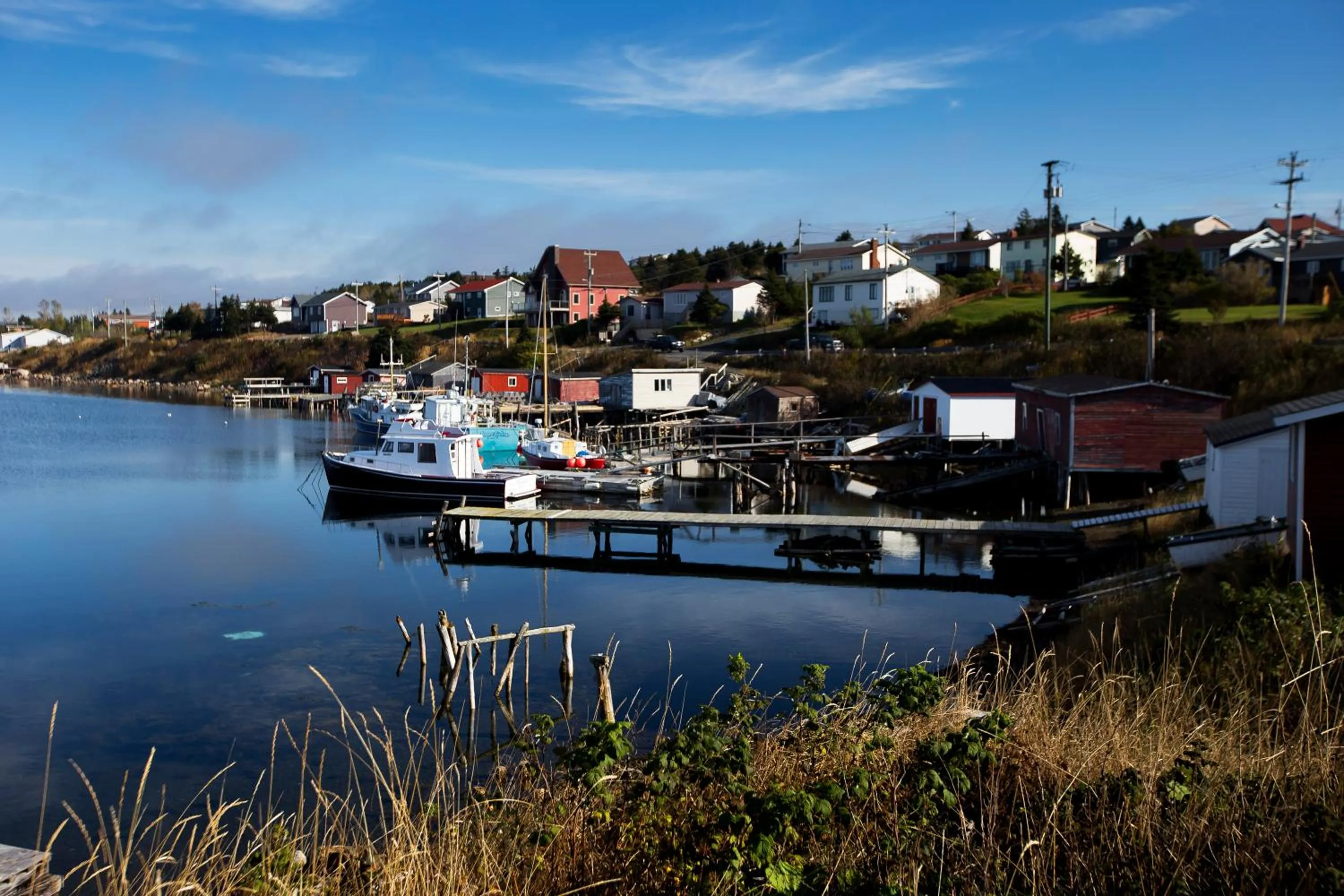 Neighbourhood in The Killick Inn & Suites