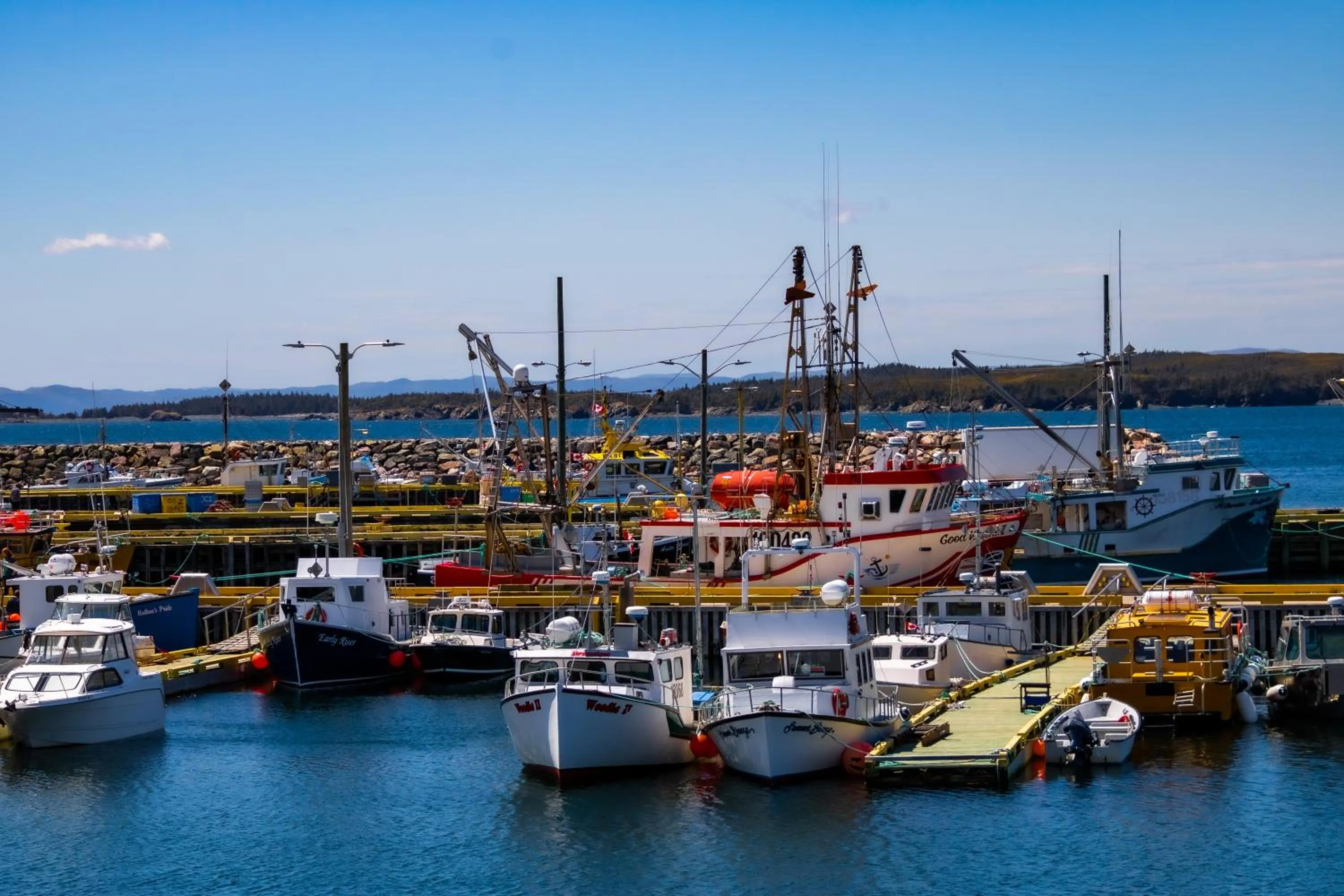 Neighbourhood in The Killick Inn & Suites