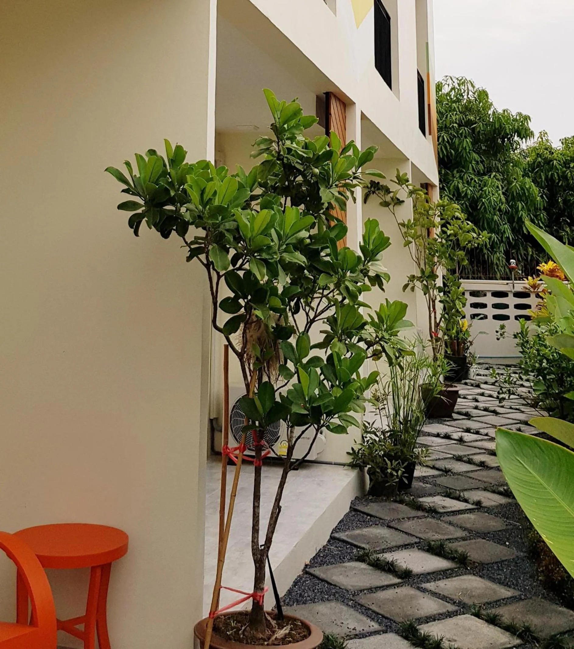 Balcony/Terrace in iRabbit Hotel