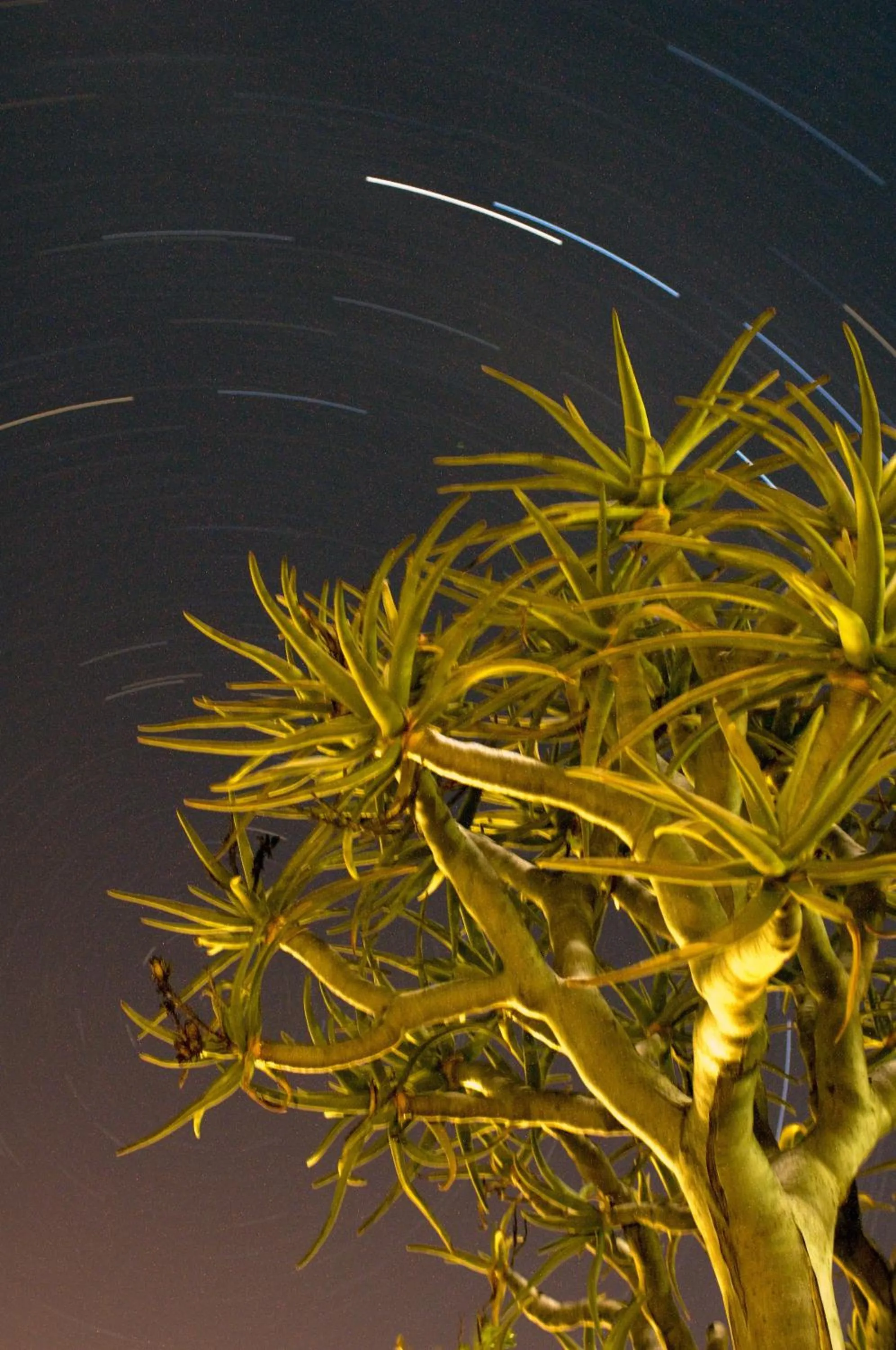 Other in Naries Namakwa Retreat