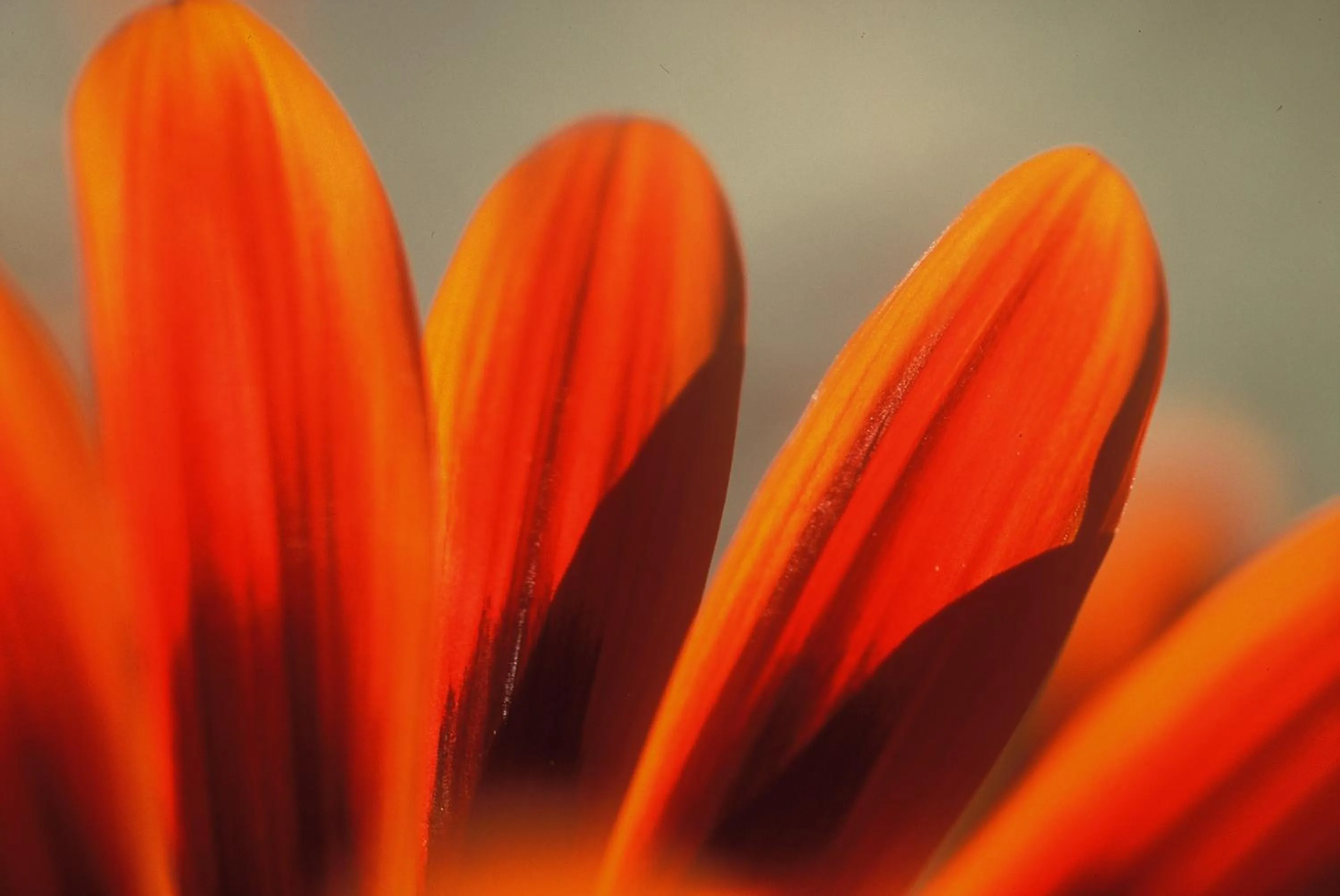 Other in Naries Namakwa Retreat