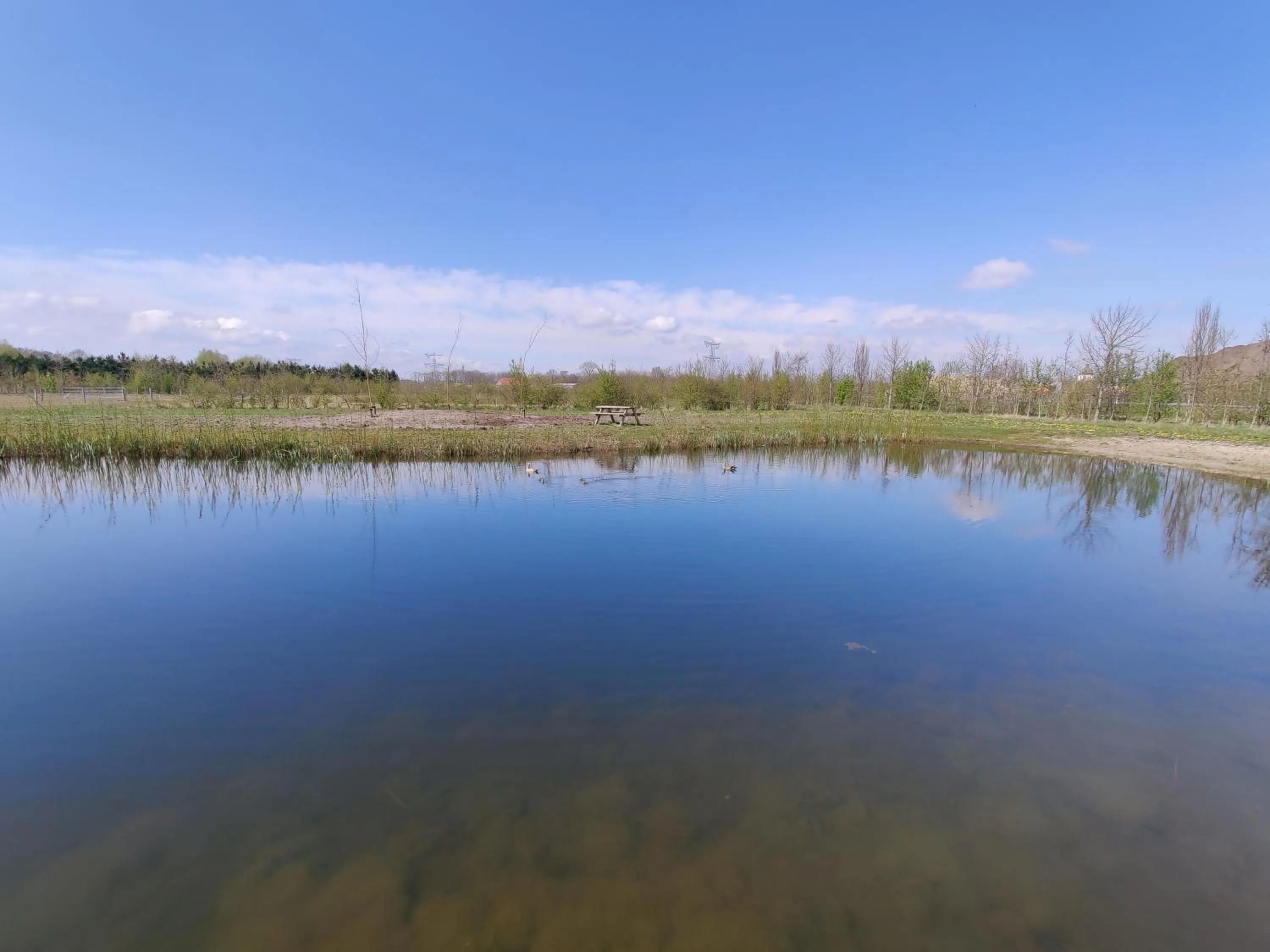 Garden view in Antonius Hoeve