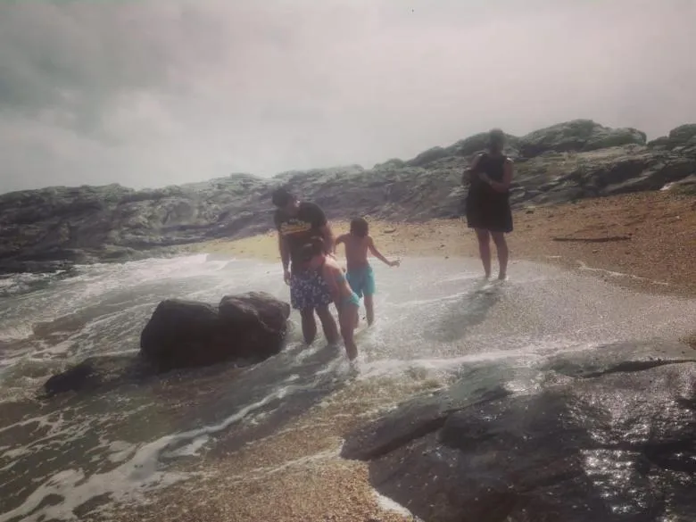Beach in Turtle Paradise