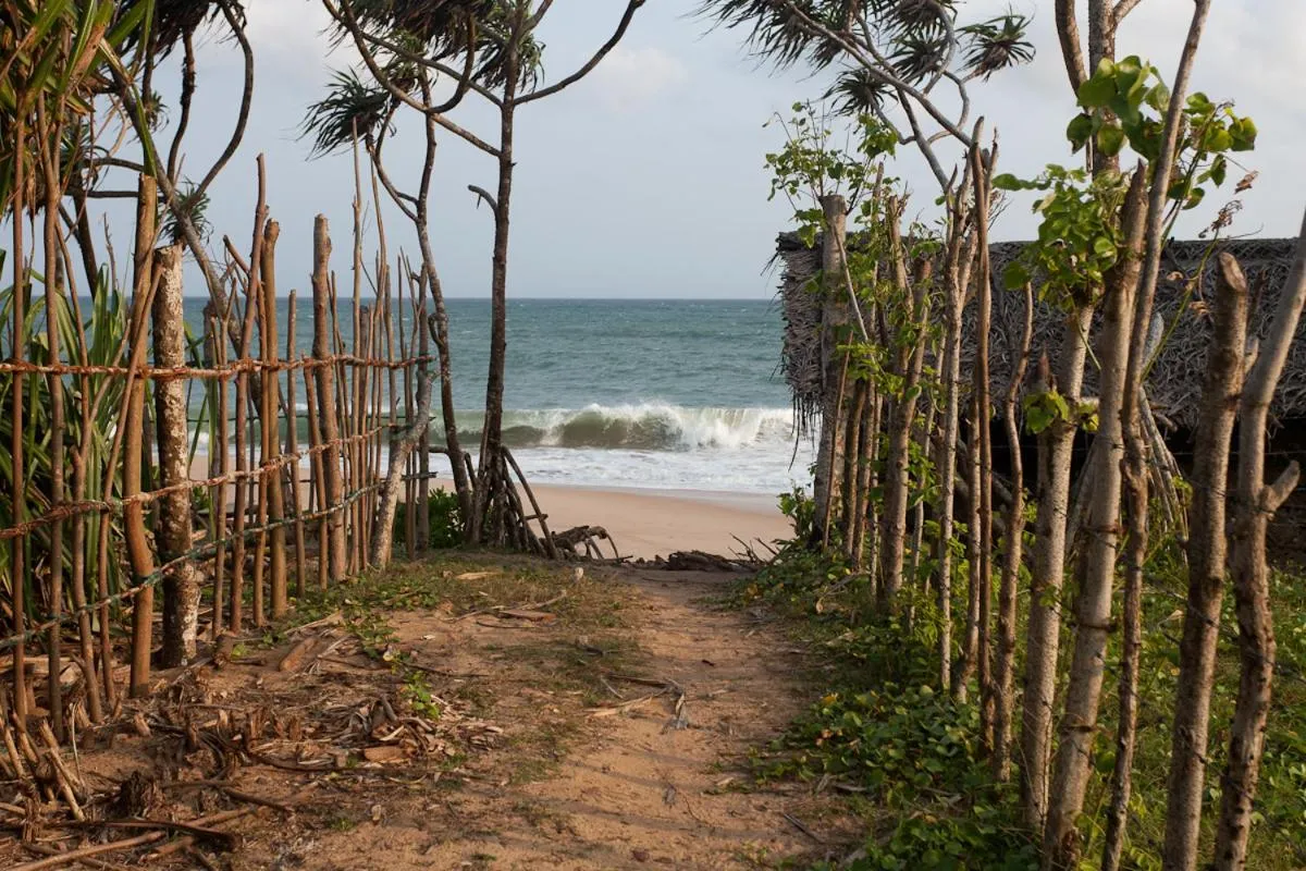 View (from property/room) in Turtle Paradise