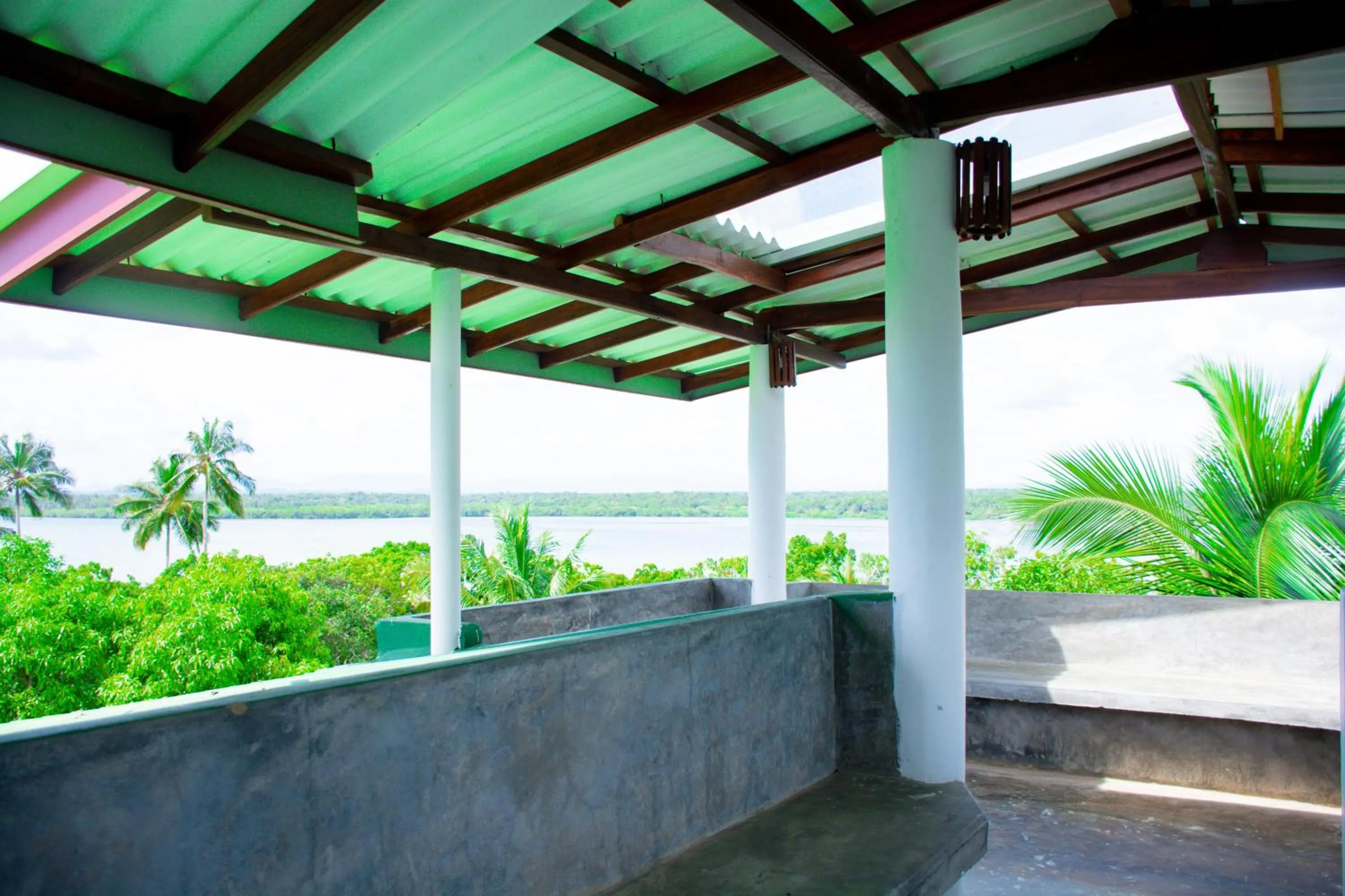 Day in Turtle Paradise