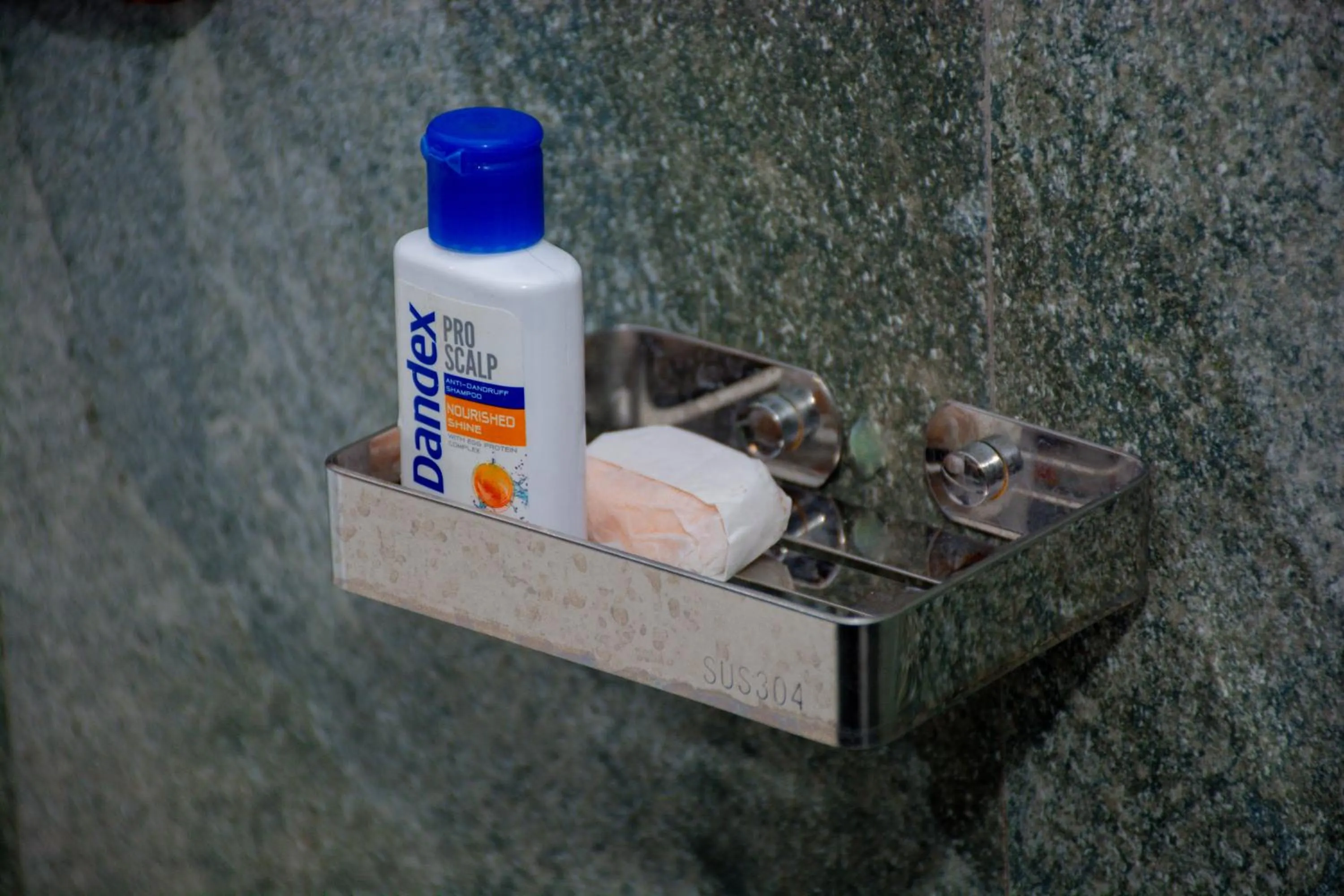 Bathroom in Turtle Paradise