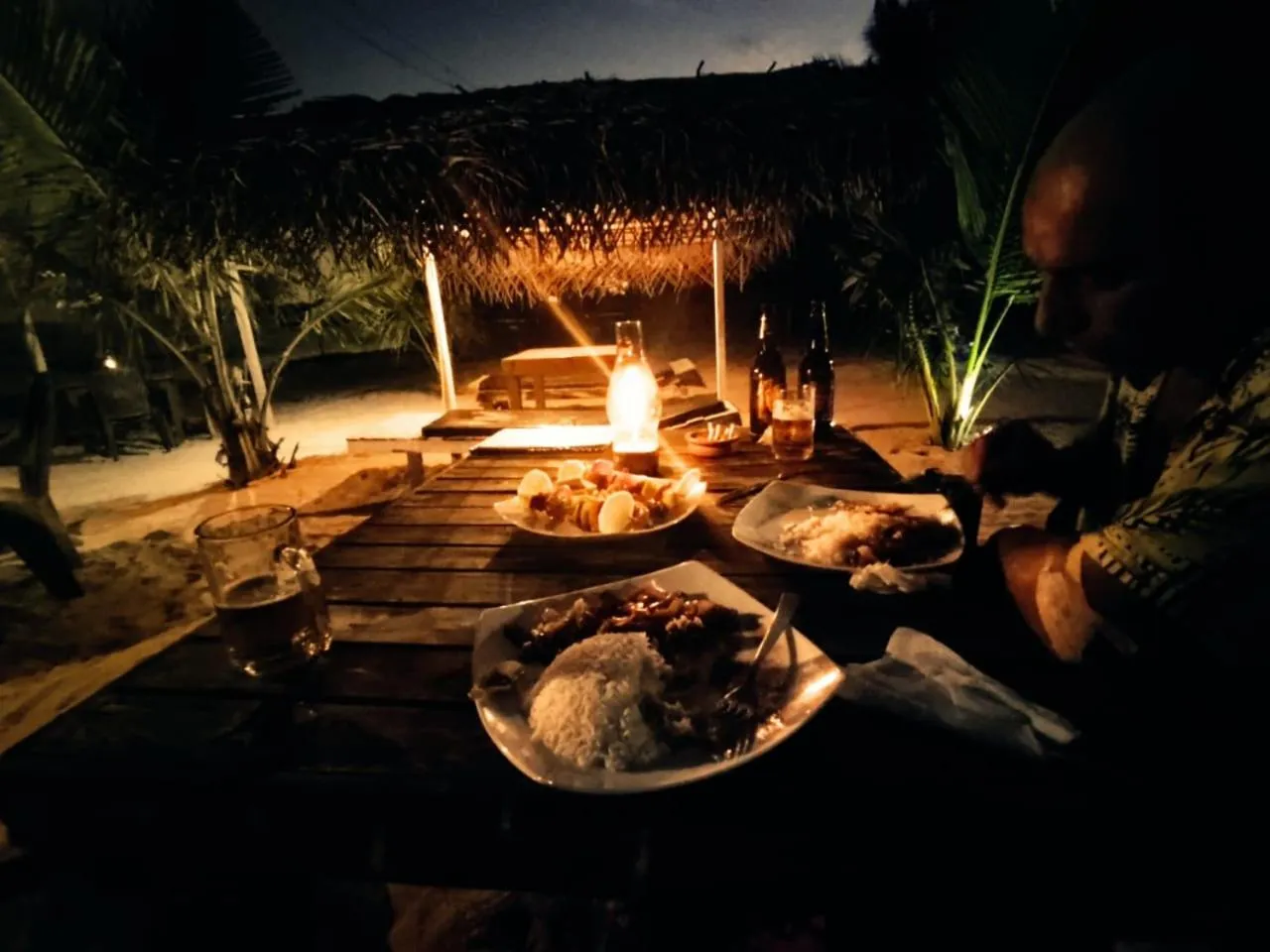 Night in Turtle Paradise