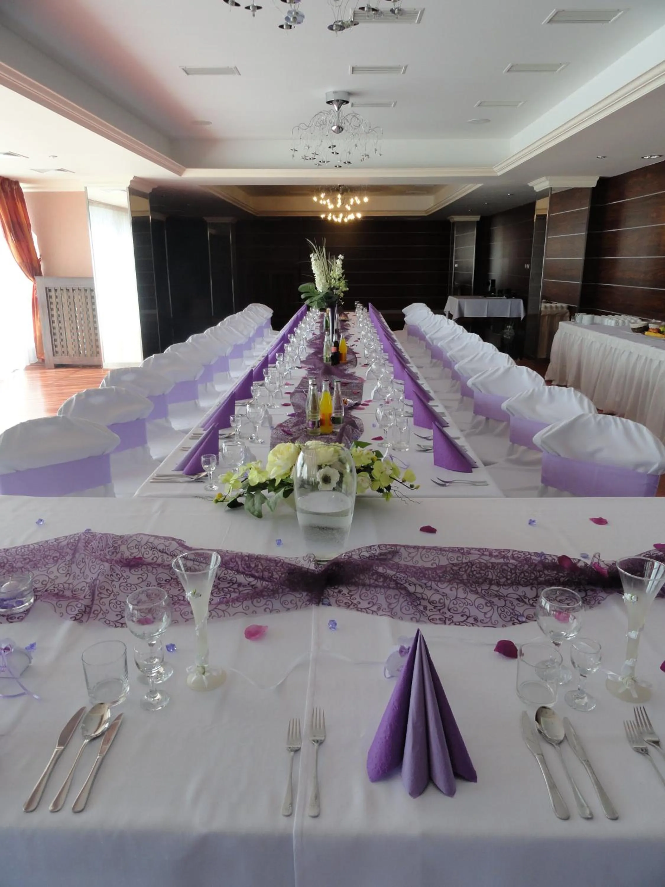 Banquet/Function facilities in Hotel Druzba