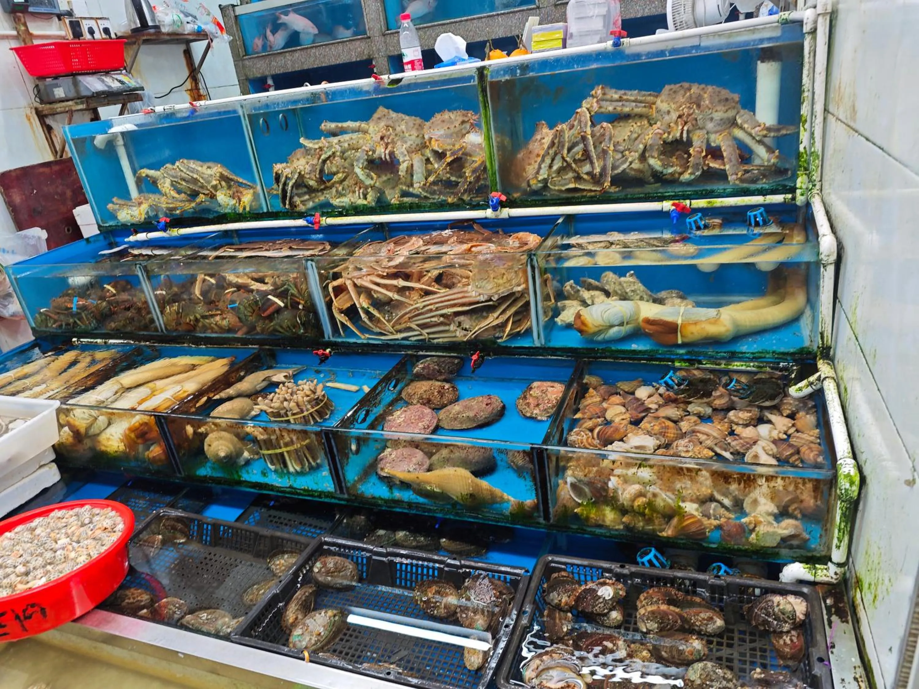 Other in The Clouds Apartment