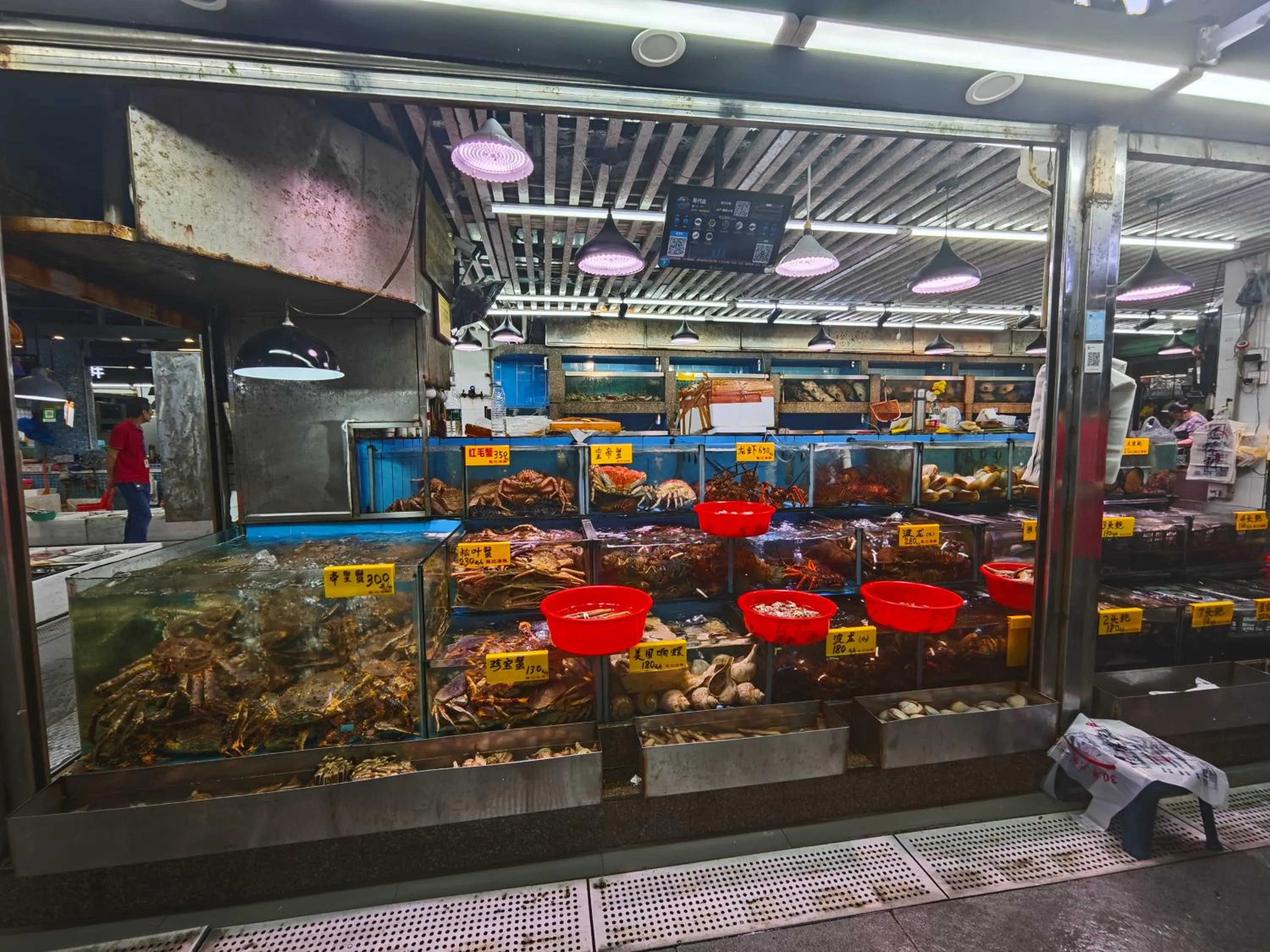 Other in The Clouds Apartment