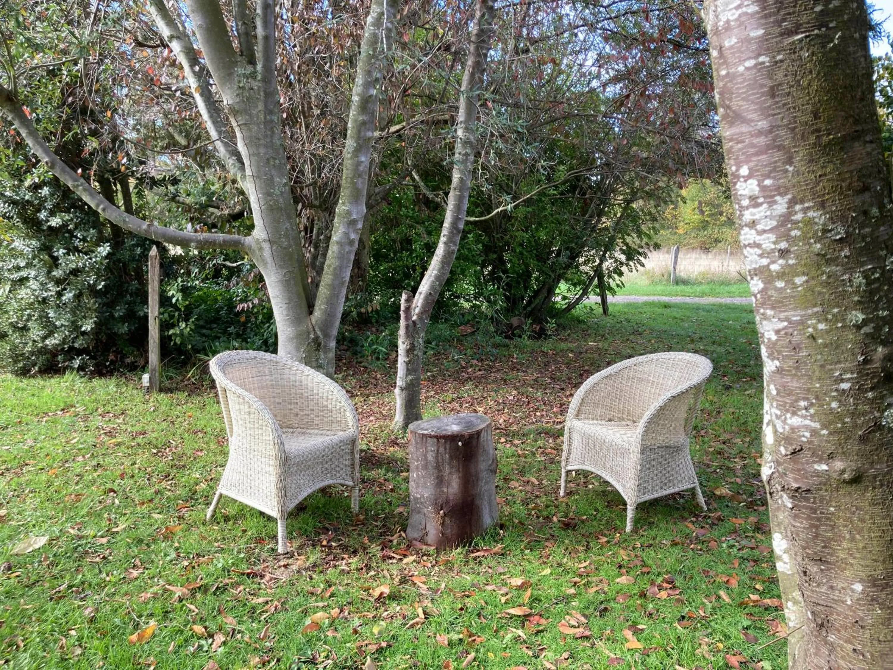 Garden in Hotel Truyaca
