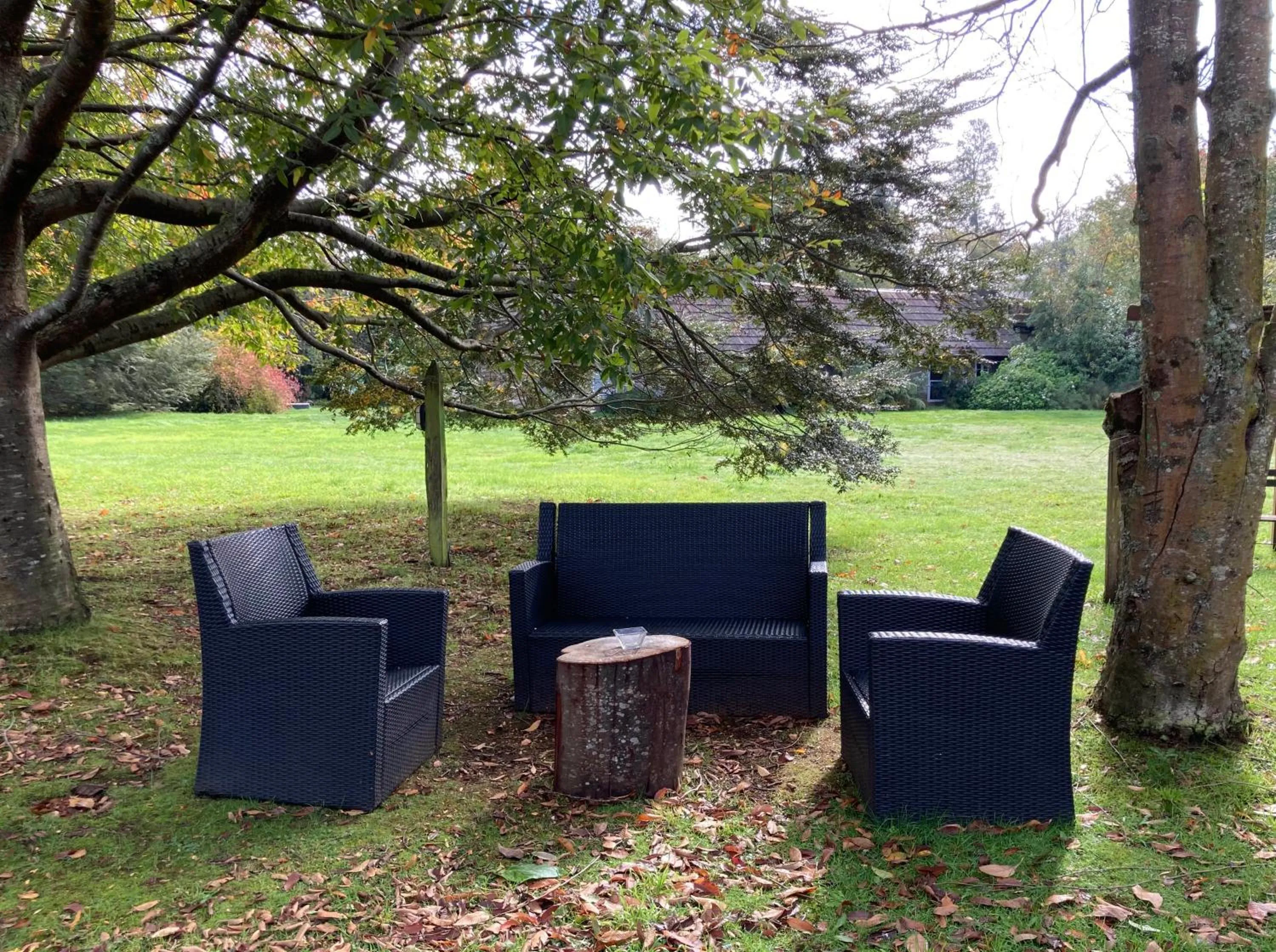 Garden in Hotel Truyaca