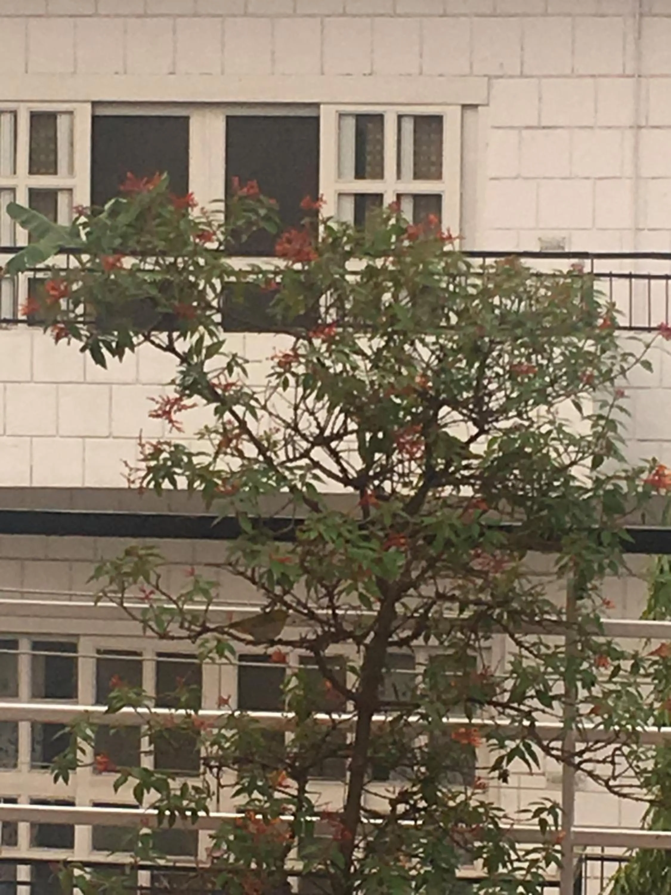 Property building in The Neem