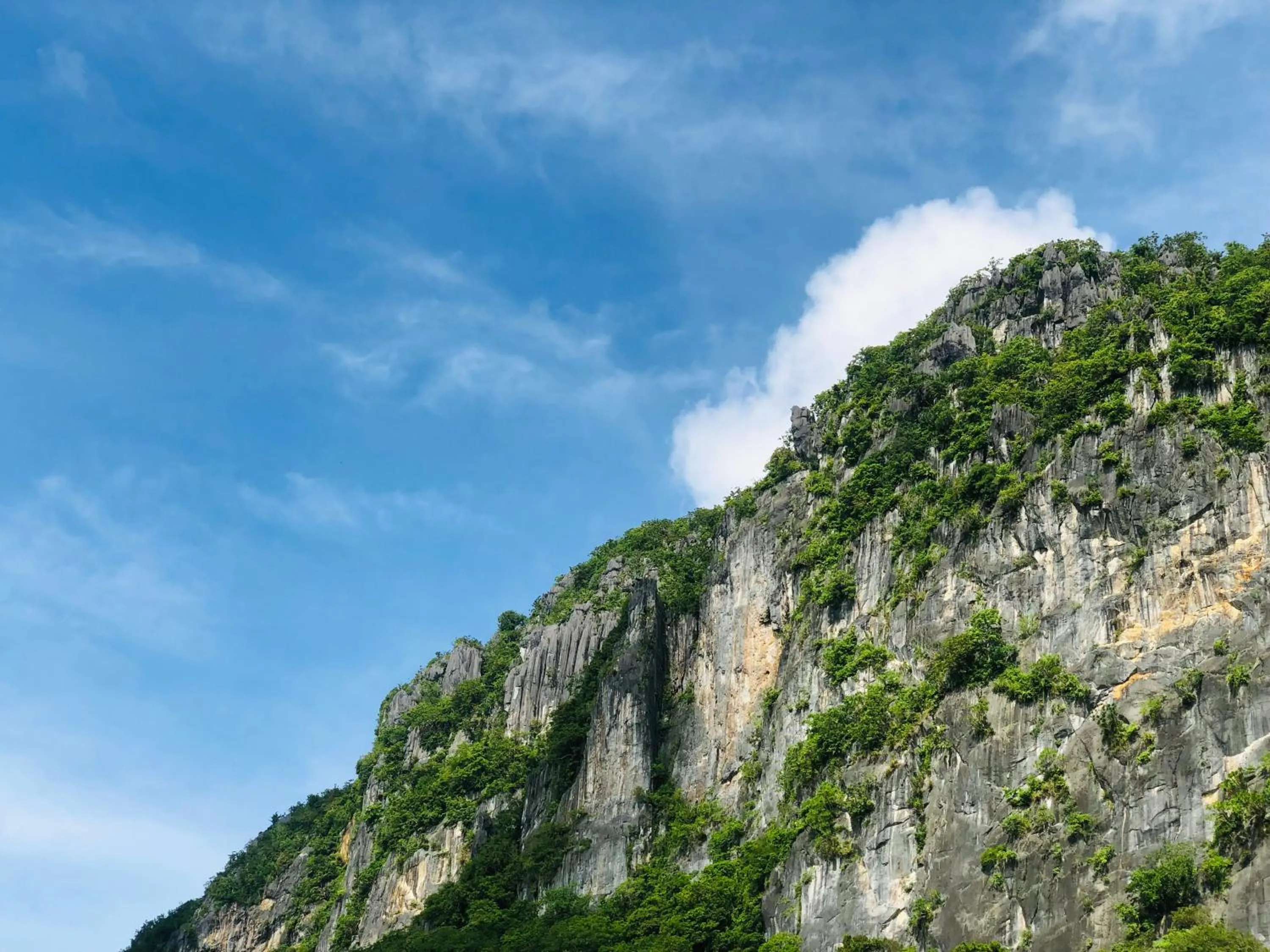 Mountain view in Lolo Bob's Bed And Breakfast