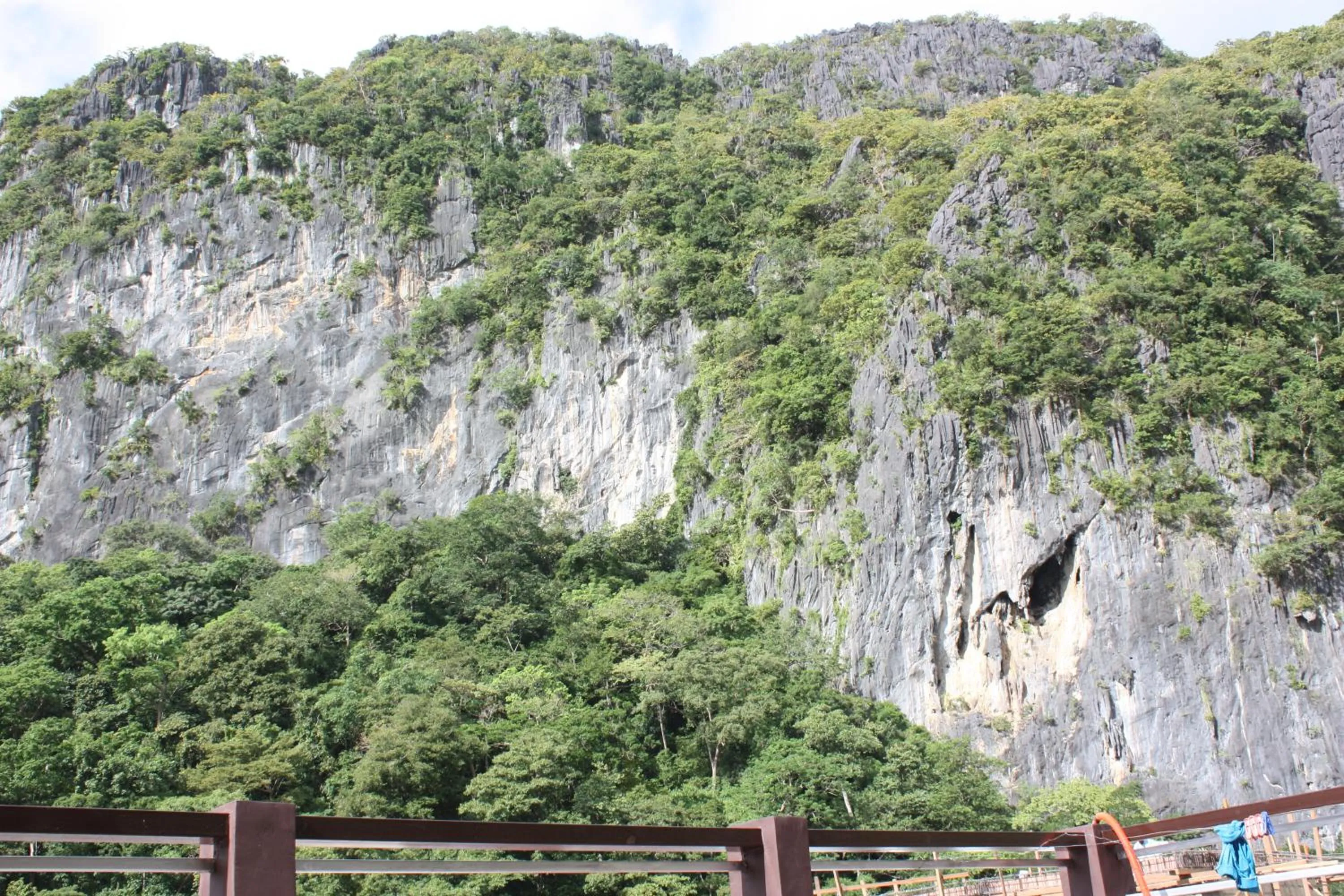 Mountain view in Lolo Bob's Bed And Breakfast
