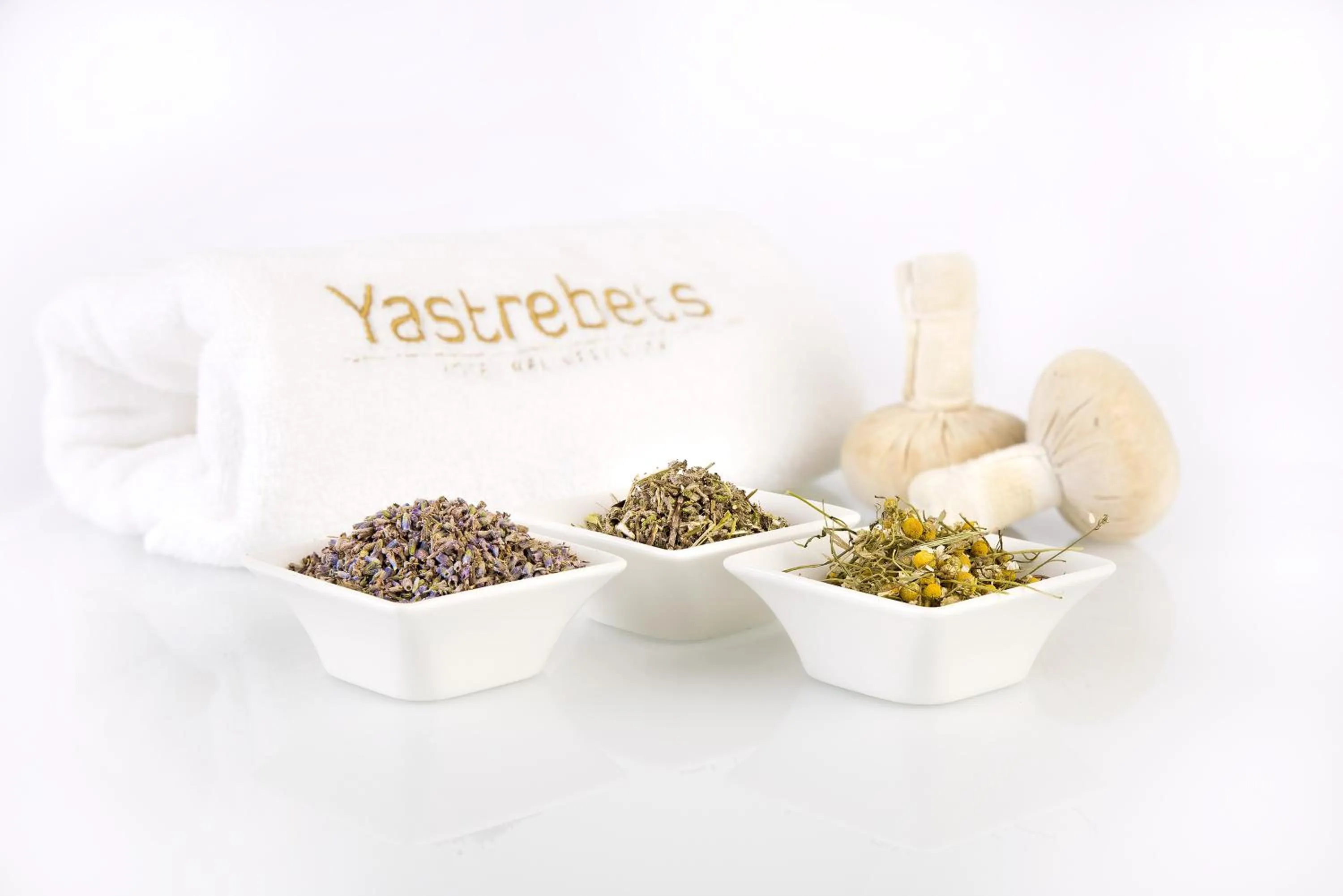 Spa and wellness centre/facilities in Hotel Yastrebets Wellness & Spa