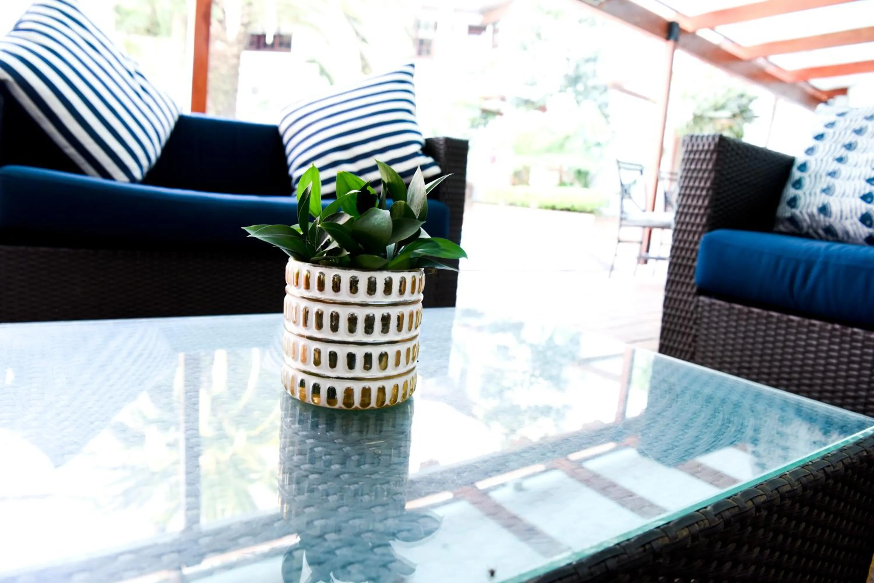 Balcony/Terrace in Constantia Hotel and Conference Centre