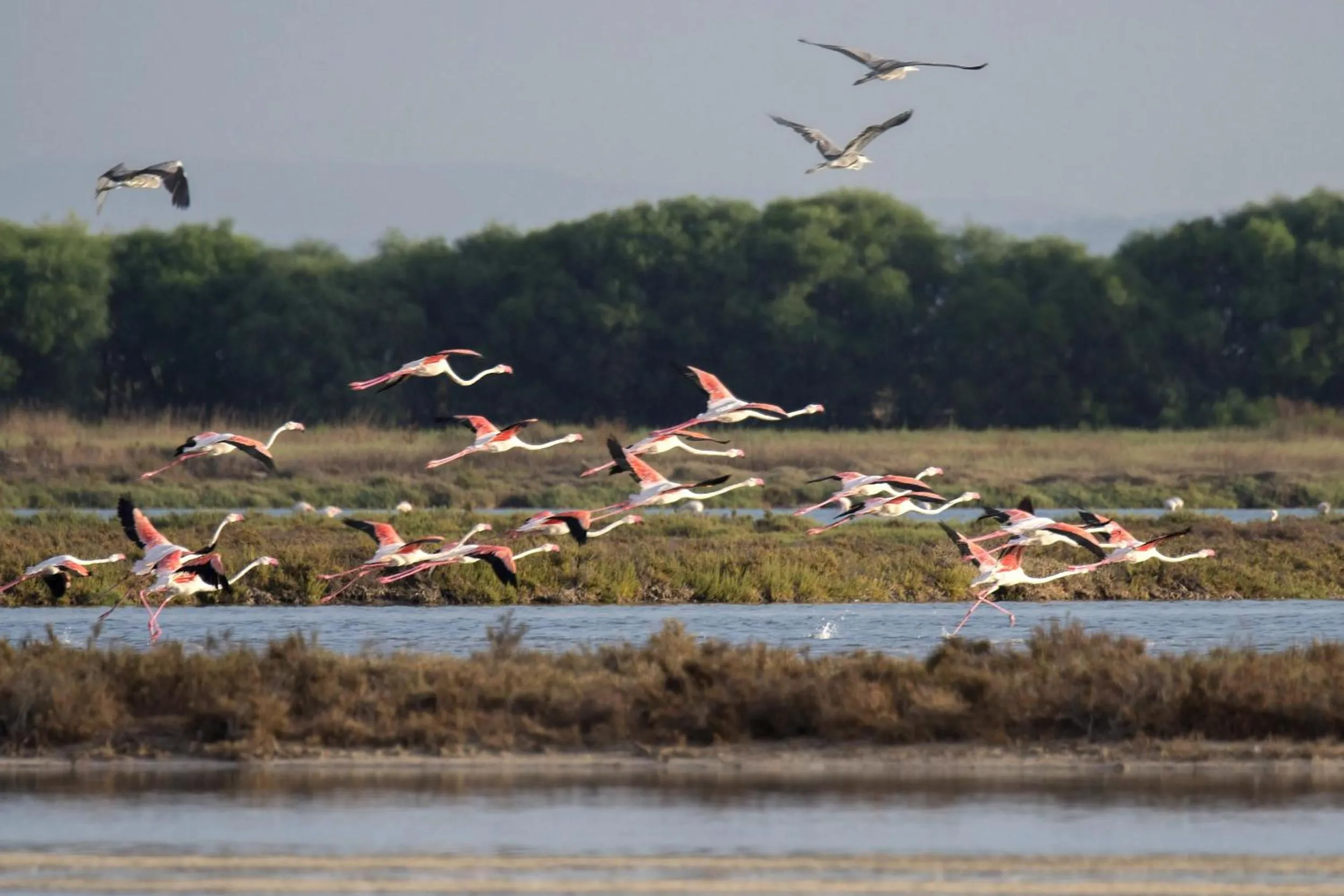 Sa Pedrera Country Hotel