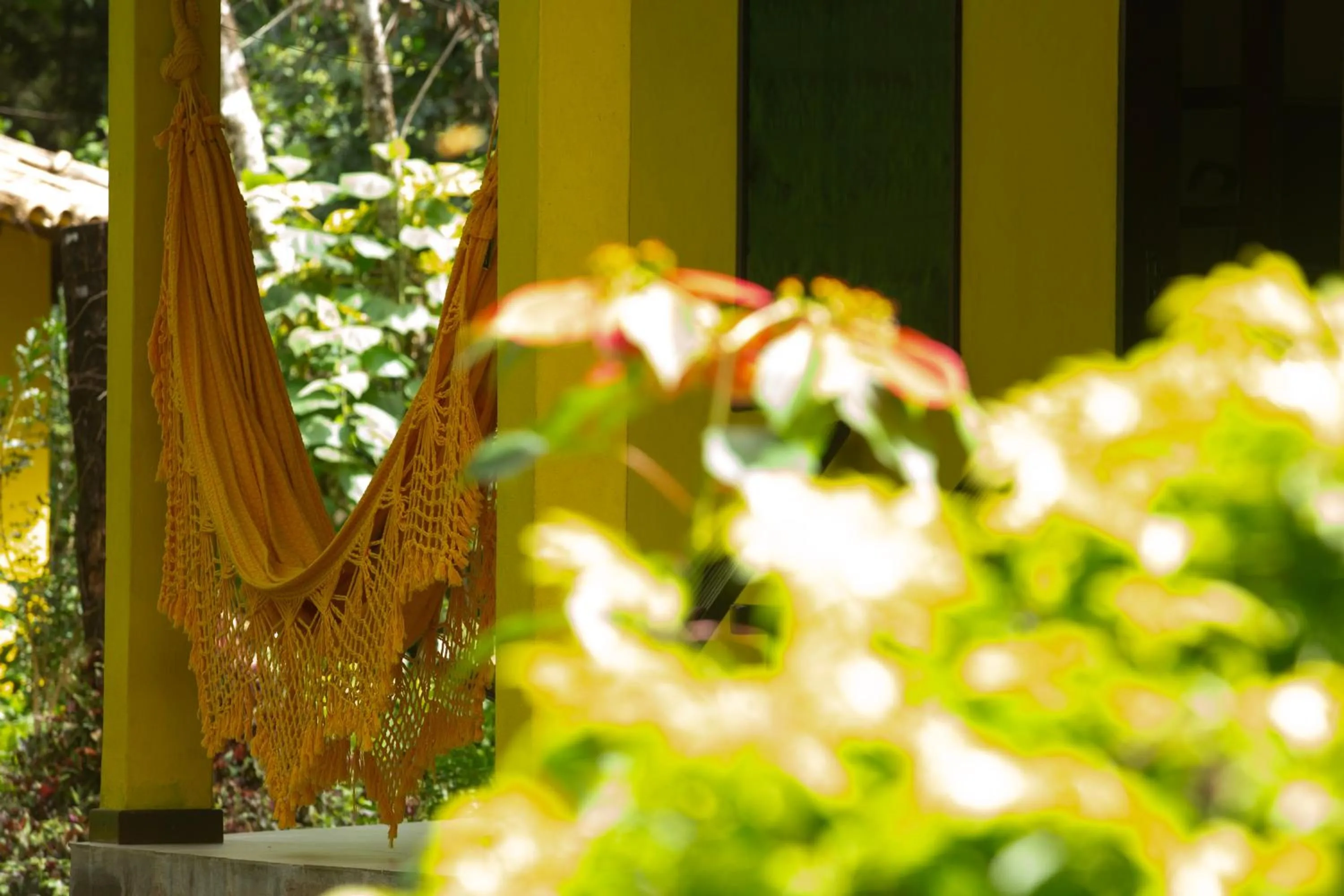 Day in Pousada Canto No Bosque