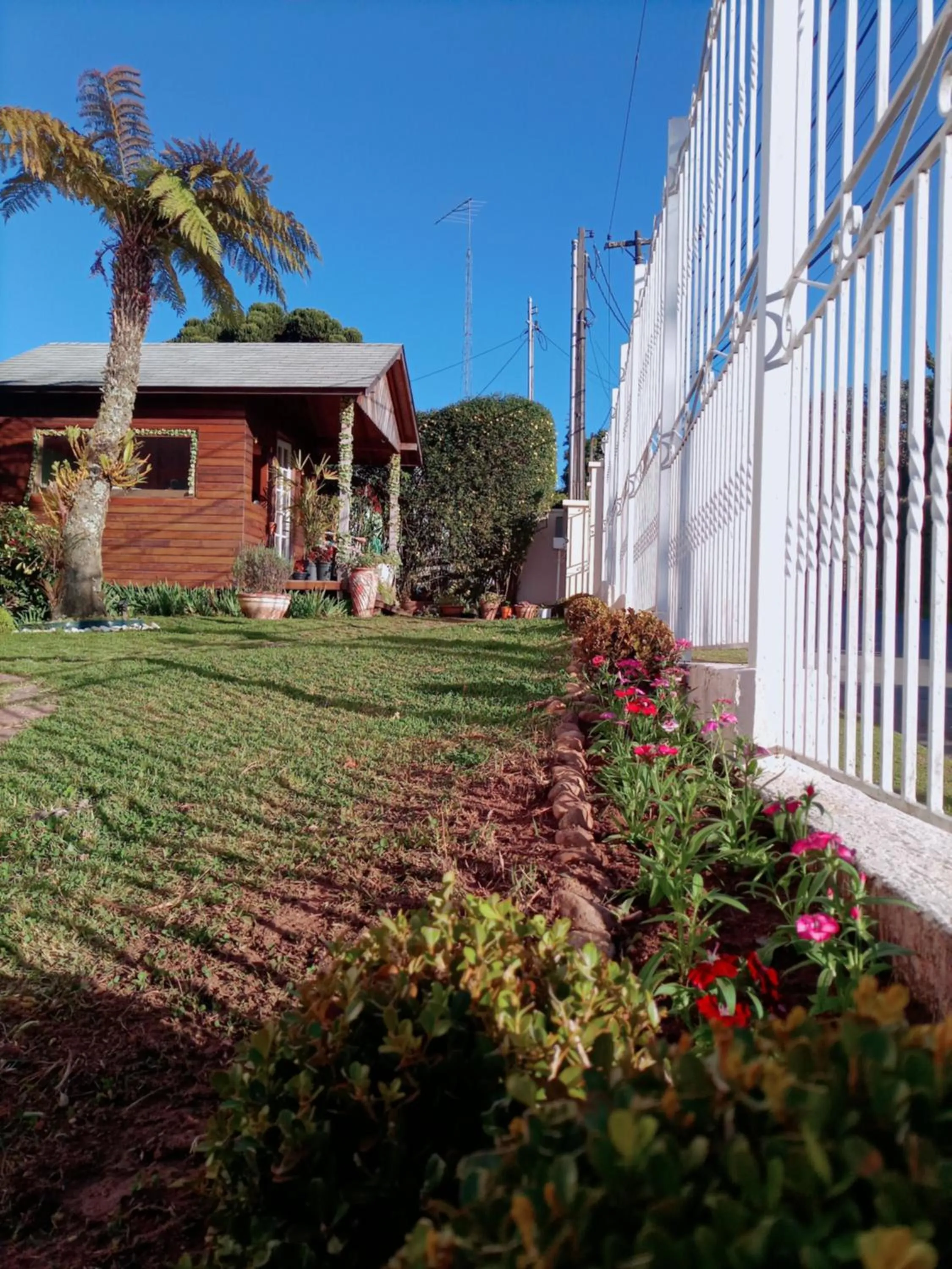 Garden view in Pousada Confraria da Terra